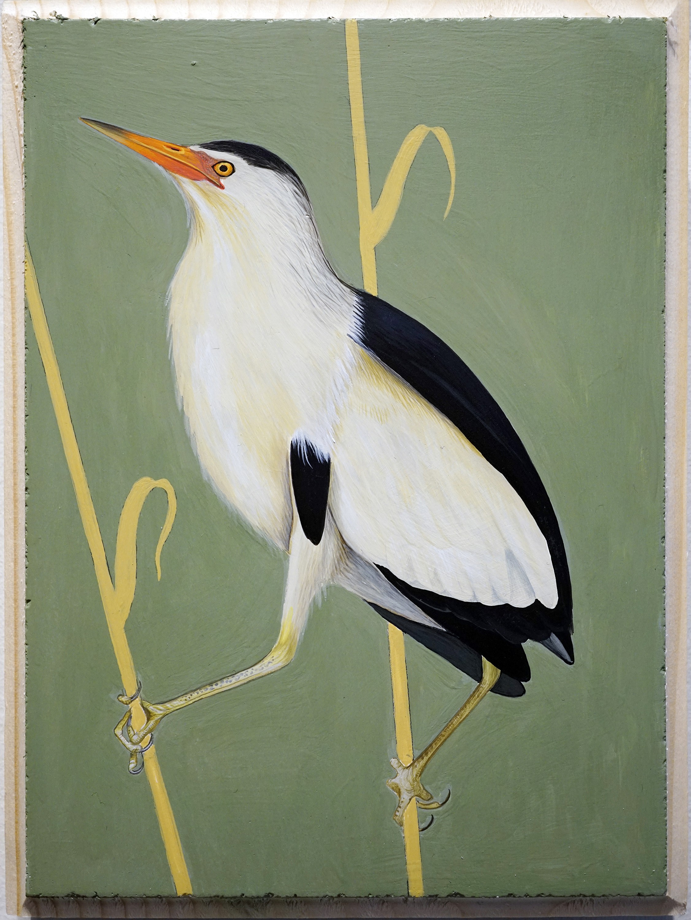 Lyuben Domozetski, Ixobrychus minutus II Lyuben Domozetski, Ixobrychus minutus II