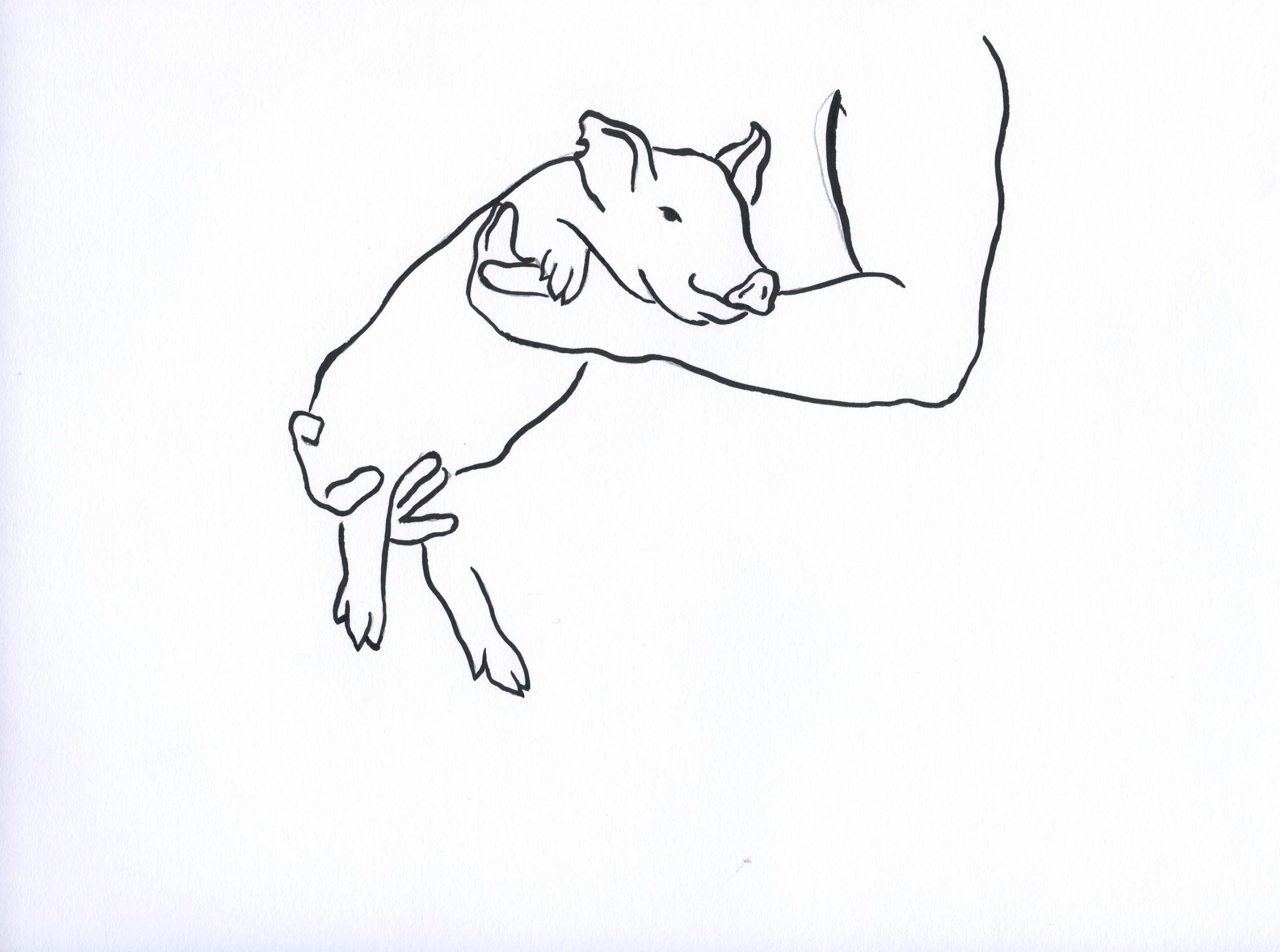 Nevelin Ivanov, If I had a pig, I would name it Nevo 11 Nevelin Ivanov, If I had a pig, I would name it Nevo 11