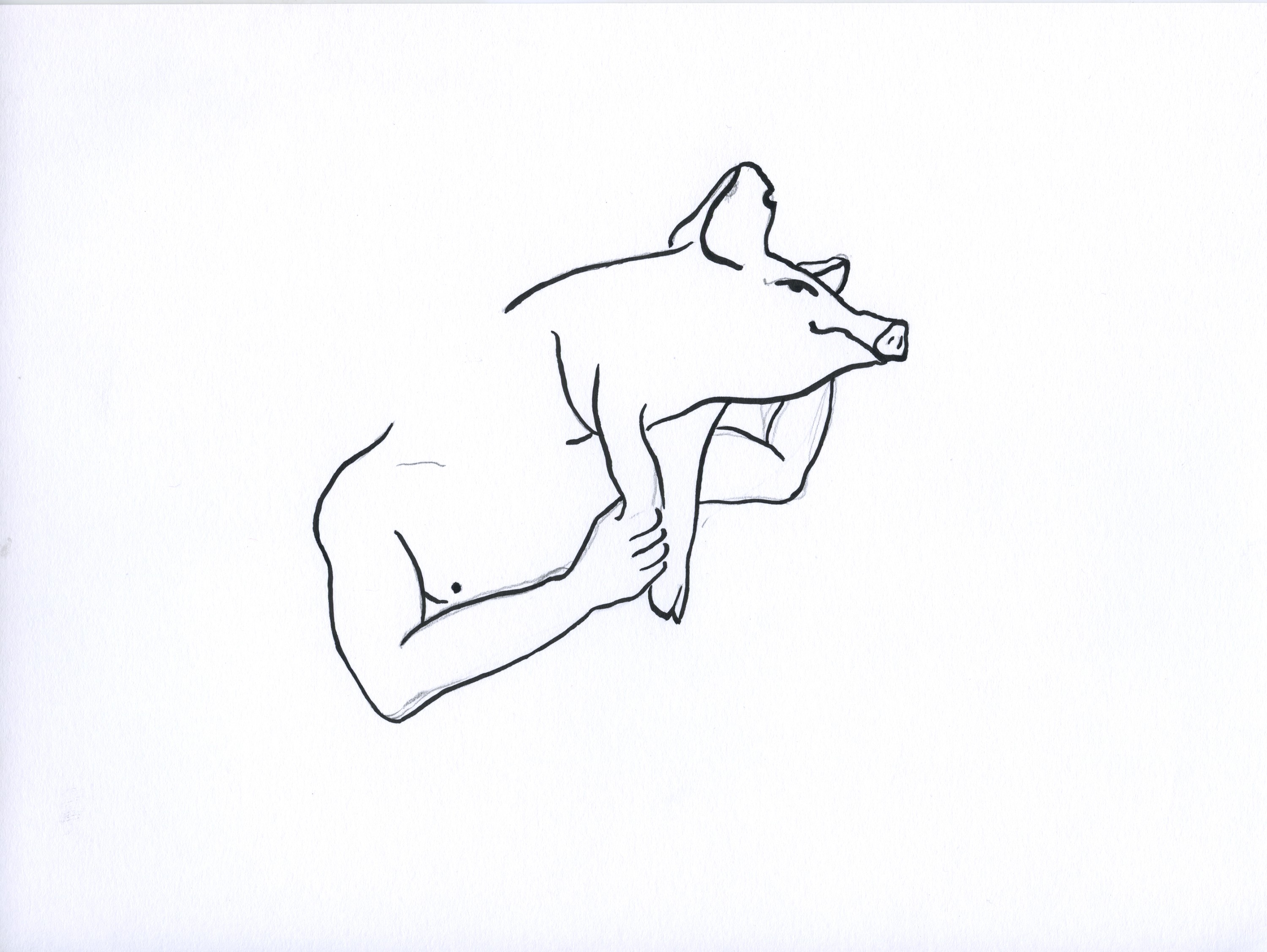Nevelin Ivanov, If I had a pig, I would name it Nevo 10 Nevelin Ivanov, If I had a pig, I would name it Nevo 10