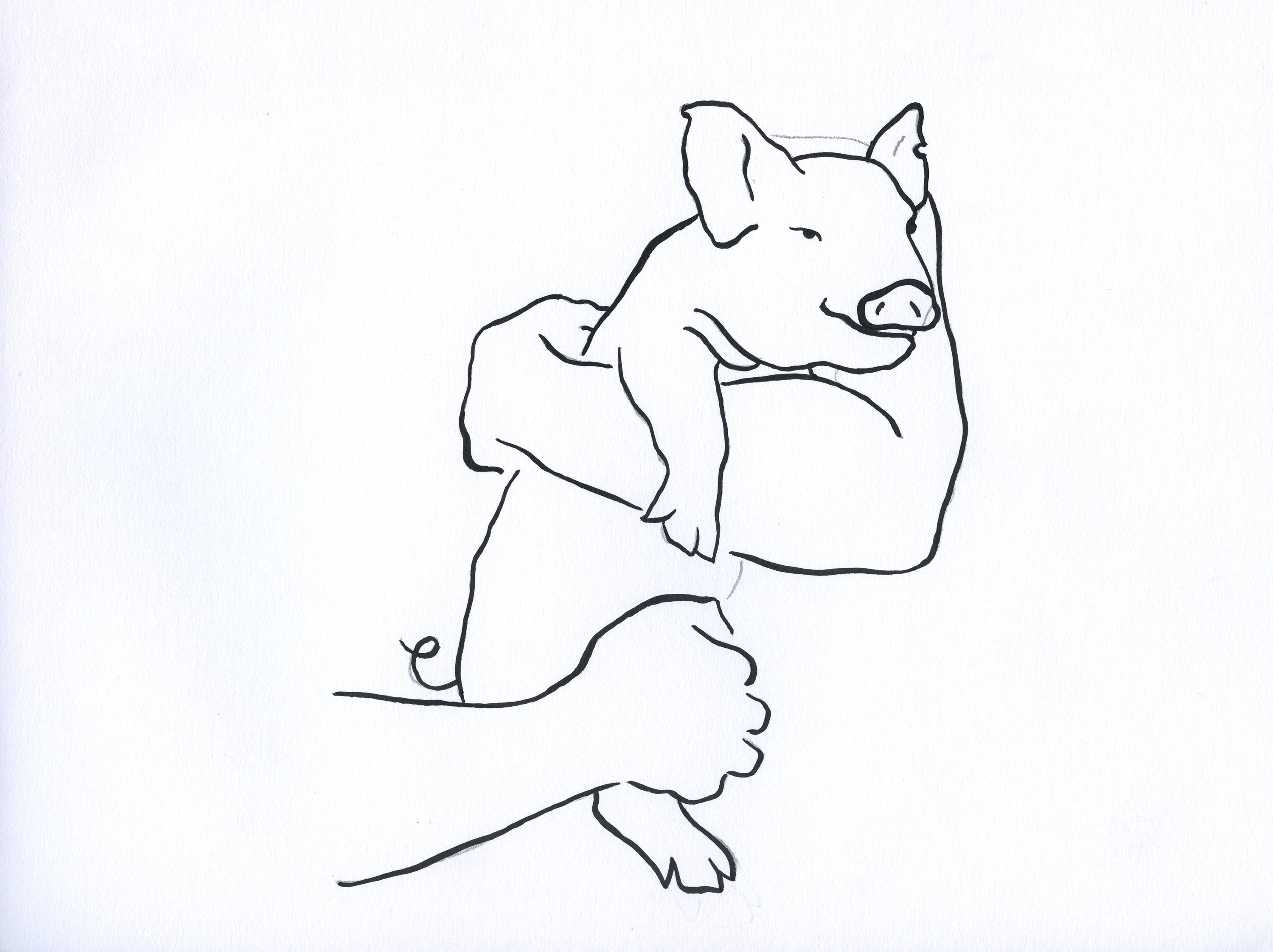 Nevelin Ivanov, If I had a pig, I would name it Nevo 7 Nevelin Ivanov, If I had a pig, I would name it Nevo 7