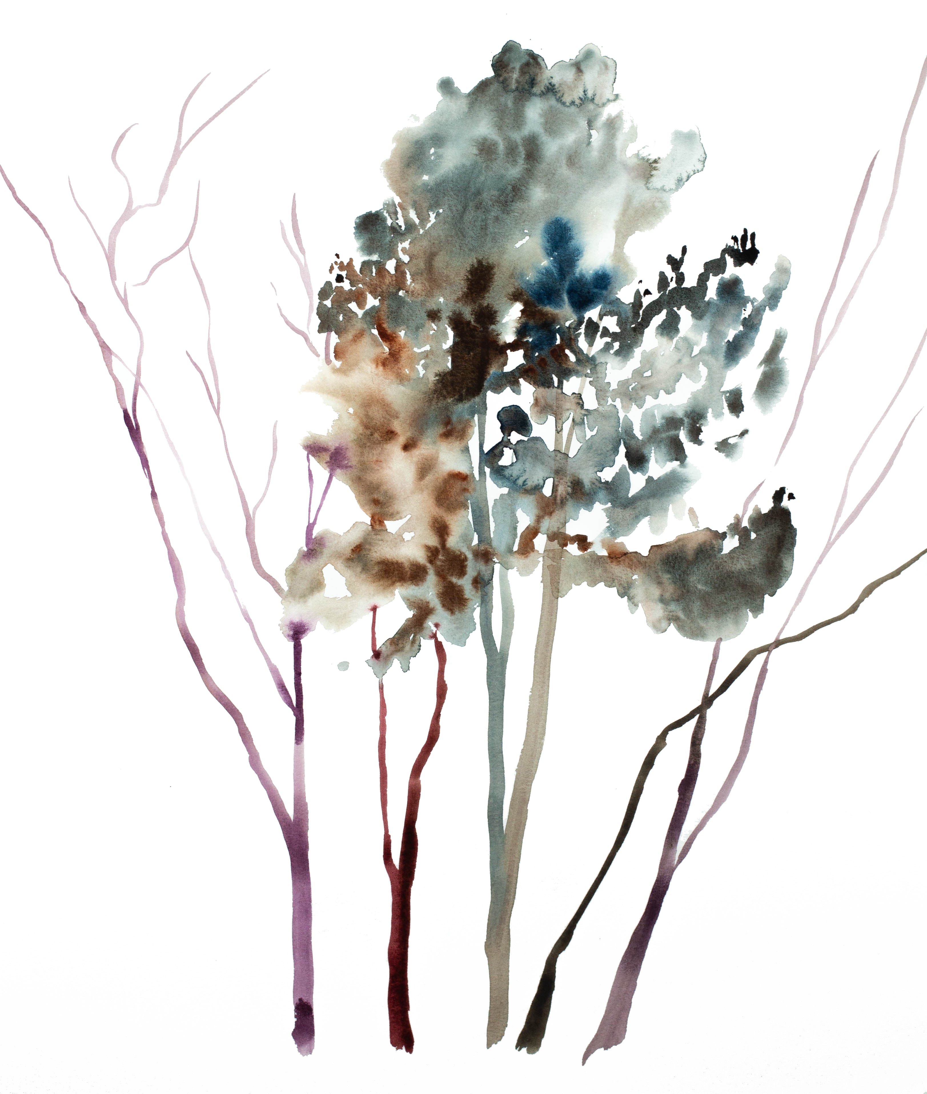 Elizabeth Becker, Tree study No. 45 Elizabeth Becker, Tree study No. 45