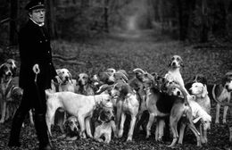 Photographie, Valet de chiens, Pierrefonds, José Nicolas