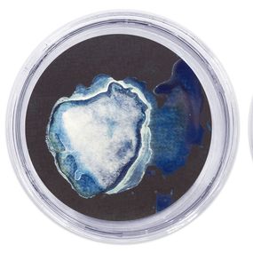Medusas 11, 12 y 13, Paola Dávila