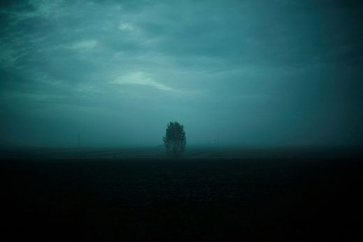Romain Reveau