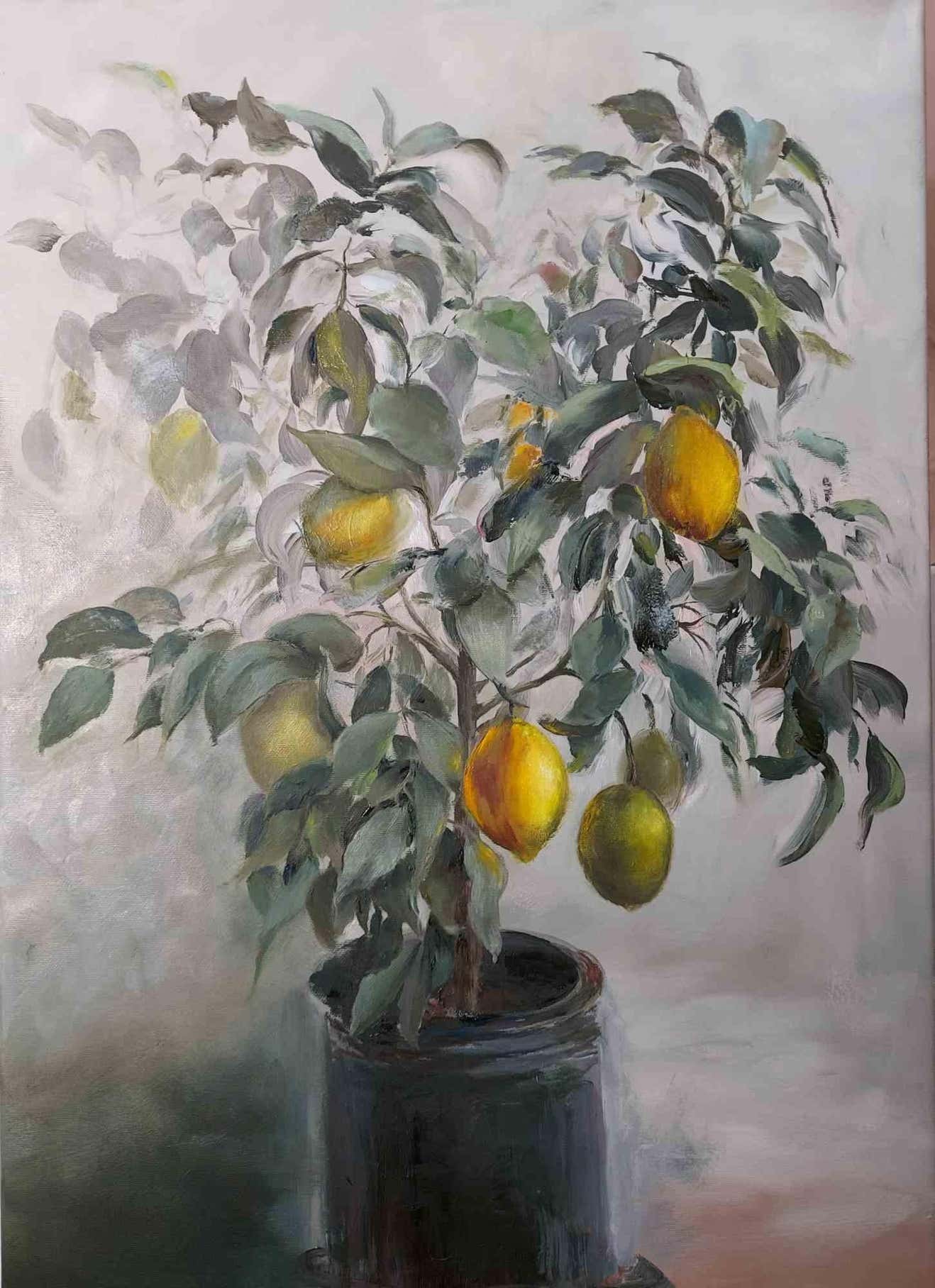 Elena Mardashova, Lemon Tree Elena Mardashova, Lemon Tree