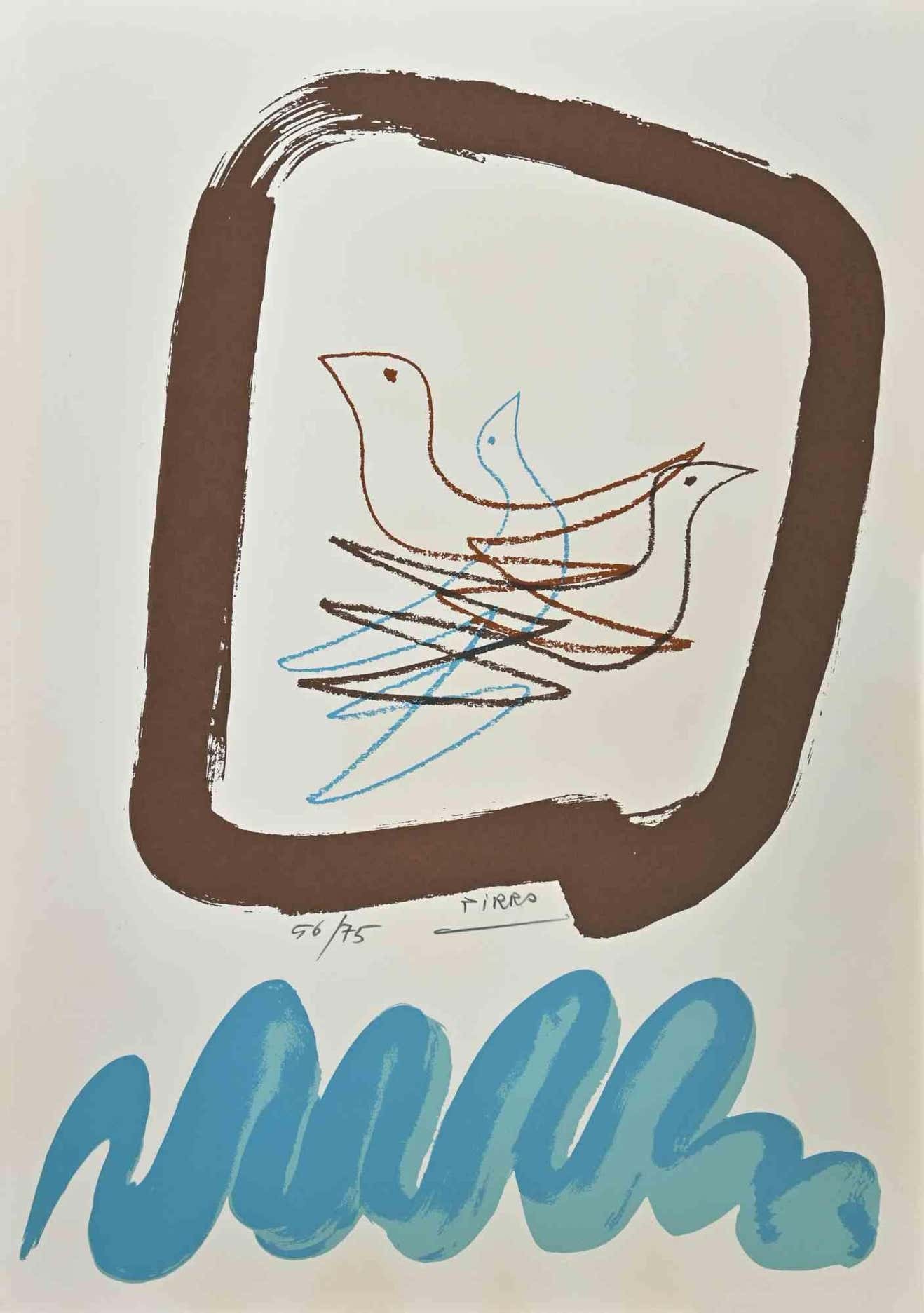 Marcello Pirro, Birds Marcello Pirro, Birds