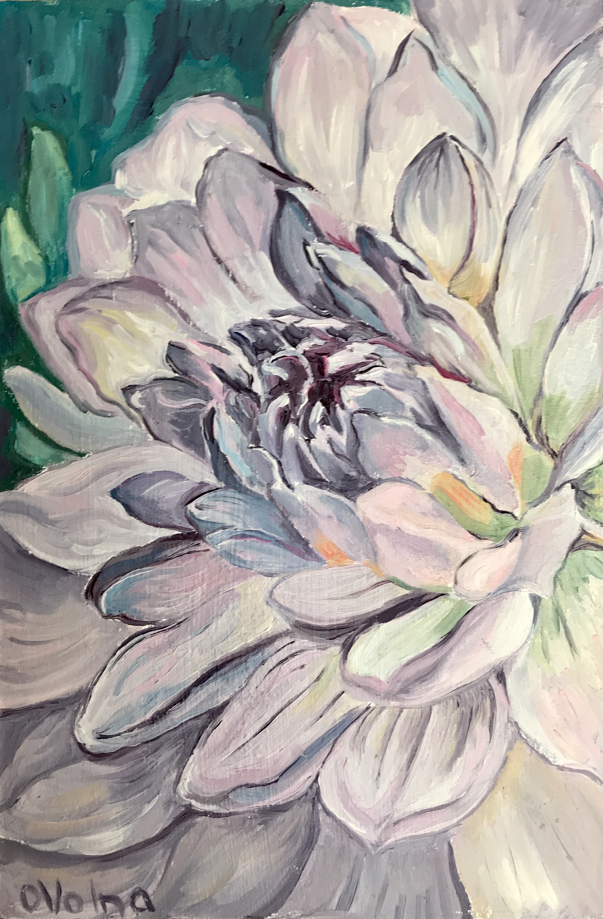 Olga Volna, Violet Dahlia Olga Volna, Violet Dahlia