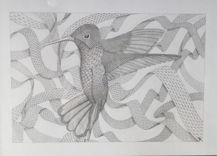 Ledentelier, Colibri Ledentelier, Colibri