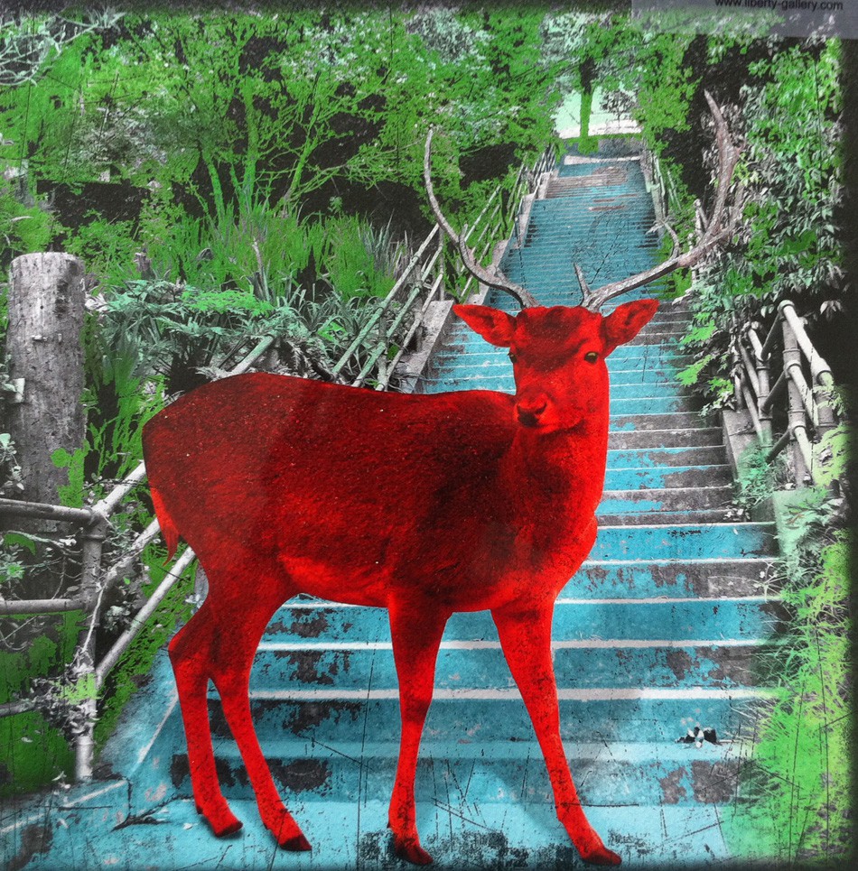 Lars Tunebo, My Deer Friend Lars Tunebo, My Deer Friend