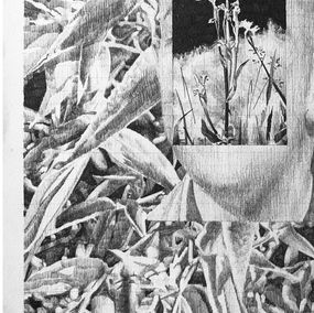 Álex Gambín, Untitled Álex Gambín, Untitled