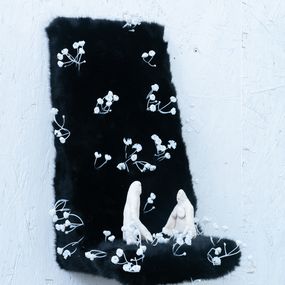 Tomas Dauksa, When the white blossoms appear Tomas Dauksa, When the white blossoms appear