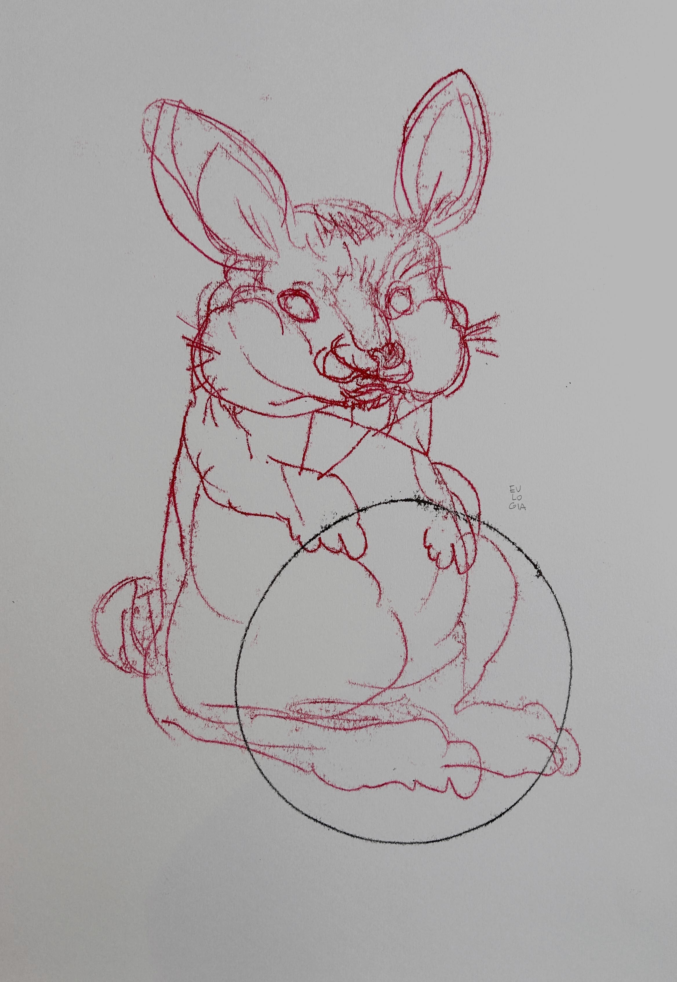 rabbit　▷　Eulogia　01　blanco　Conejo　Fine　Drawings　(white　Merle,　01)　Art　Artsper　by　2023