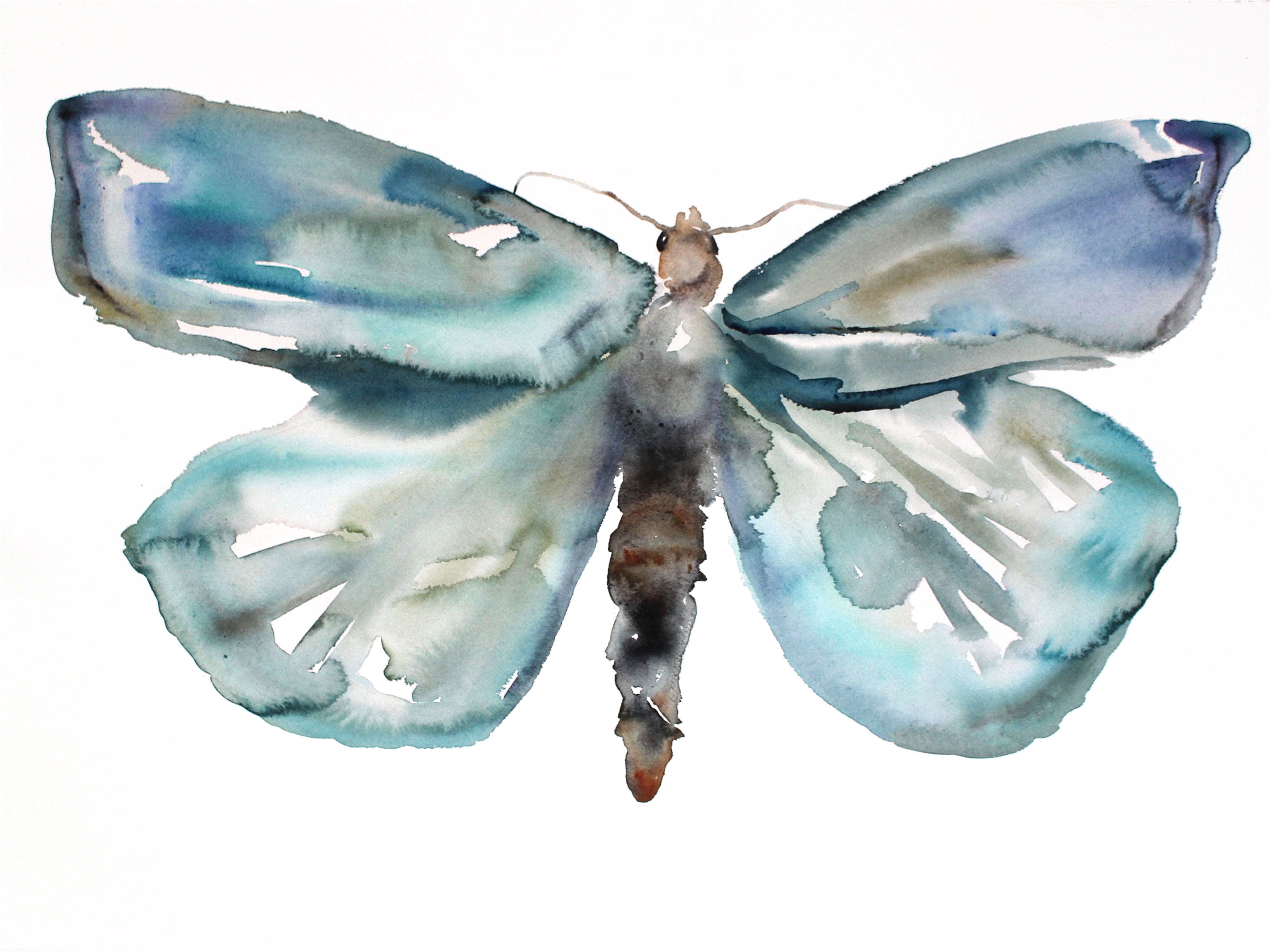 Elizabeth Becker, Moth Study No. 2 Elizabeth Becker, Moth Study No. 2