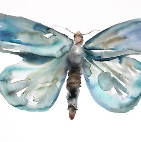 Moth Study No. 2