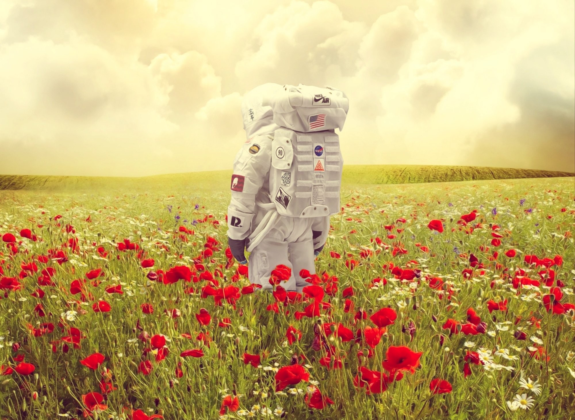 Jean-Marie Gitard (Mr Strange), Poppies on Earth Jean-Marie Gitard (Mr Strange), Poppies on Earth