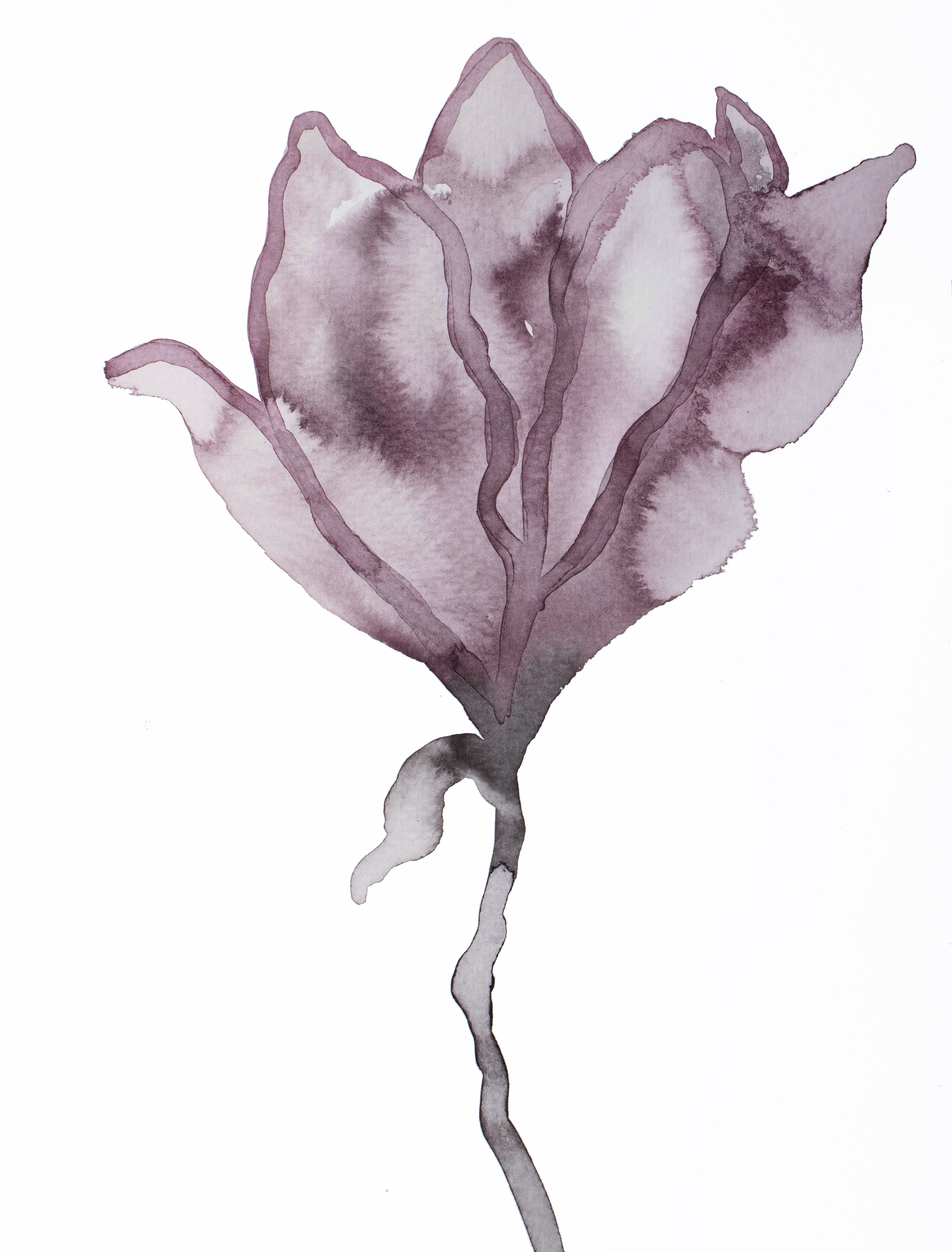 Elizabeth Becker, Magnolia No. 58 Elizabeth Becker, Magnolia No. 58