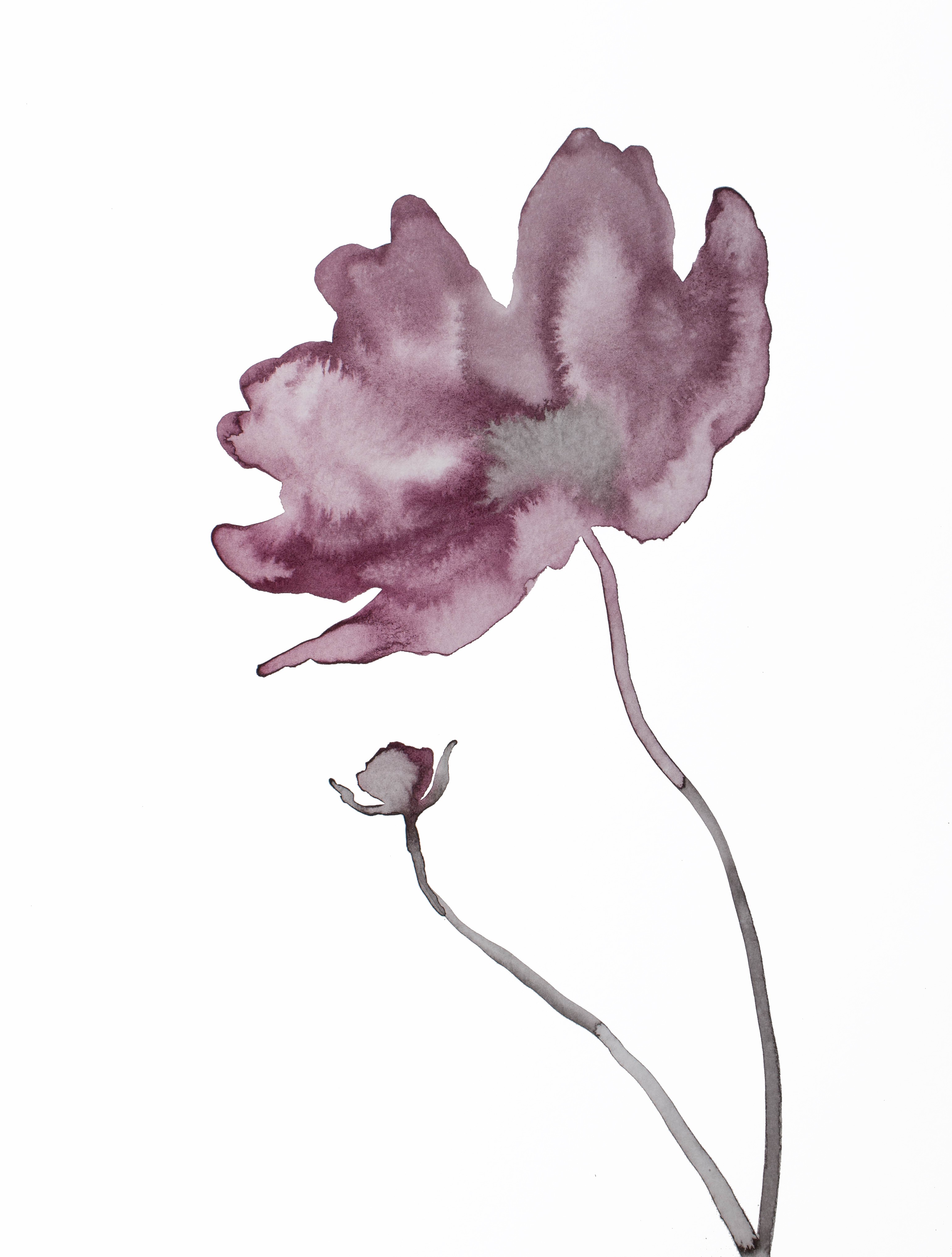 Elizabeth Becker, Poppy No. 5 Elizabeth Becker, Poppy No. 5