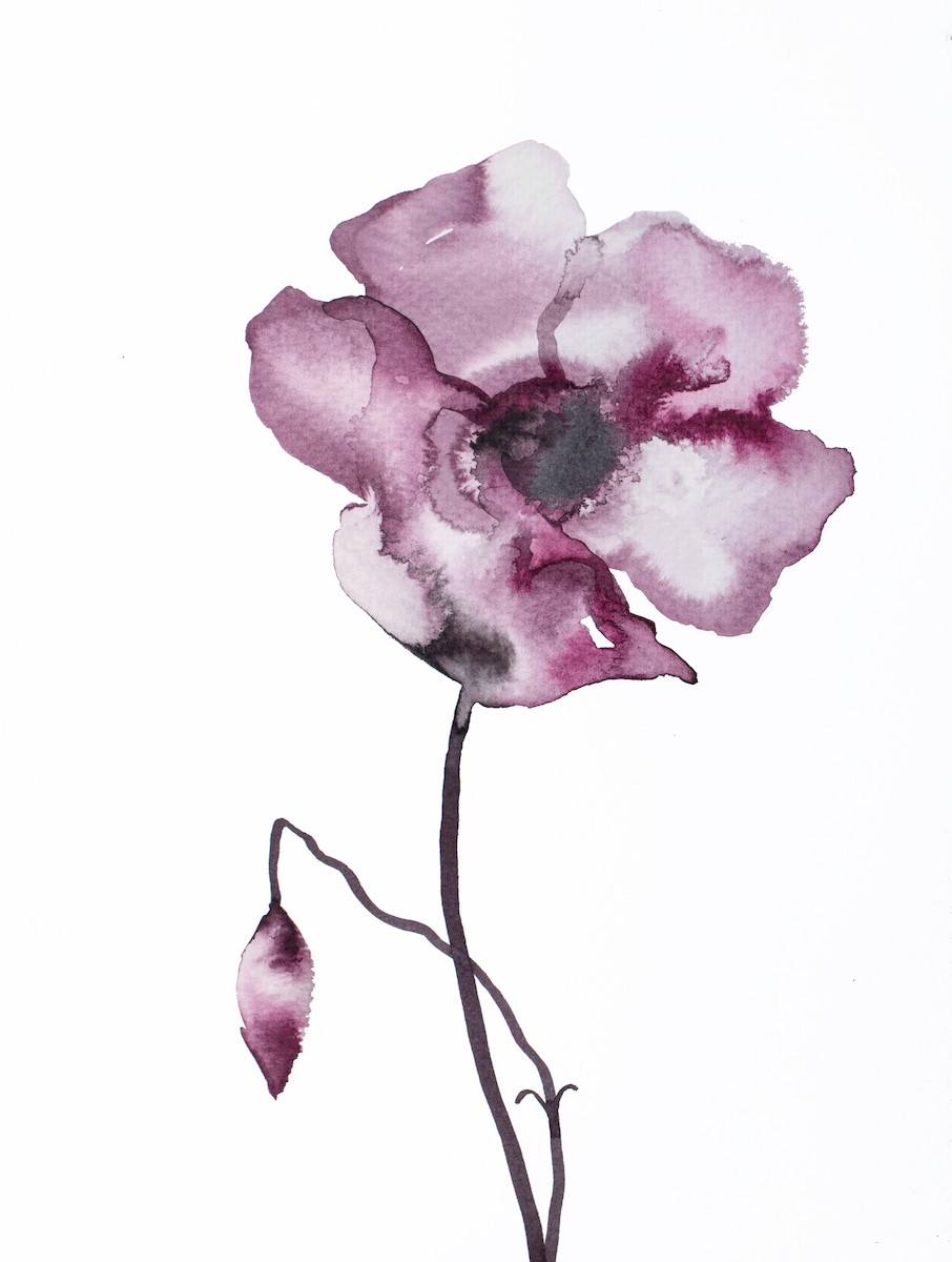 Elizabeth Becker, Poppy No. 6 Elizabeth Becker, Poppy No. 6