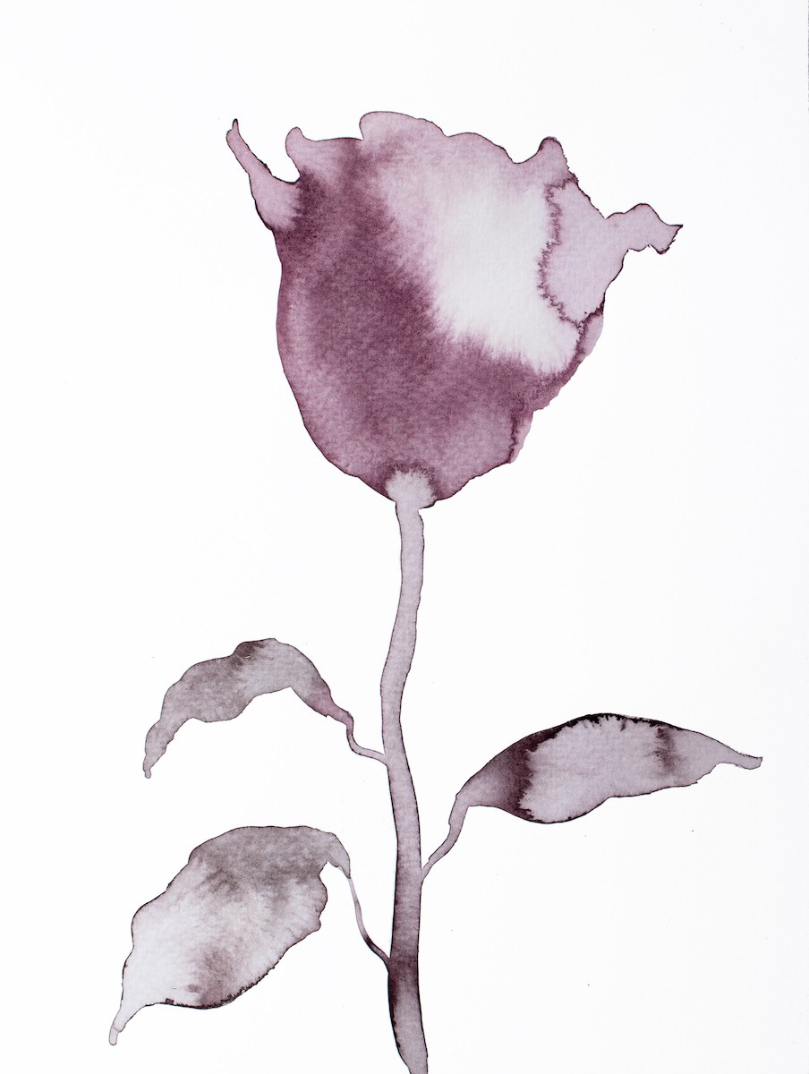 Elizabeth Becker, Rose No. 9 Elizabeth Becker, Rose No. 9