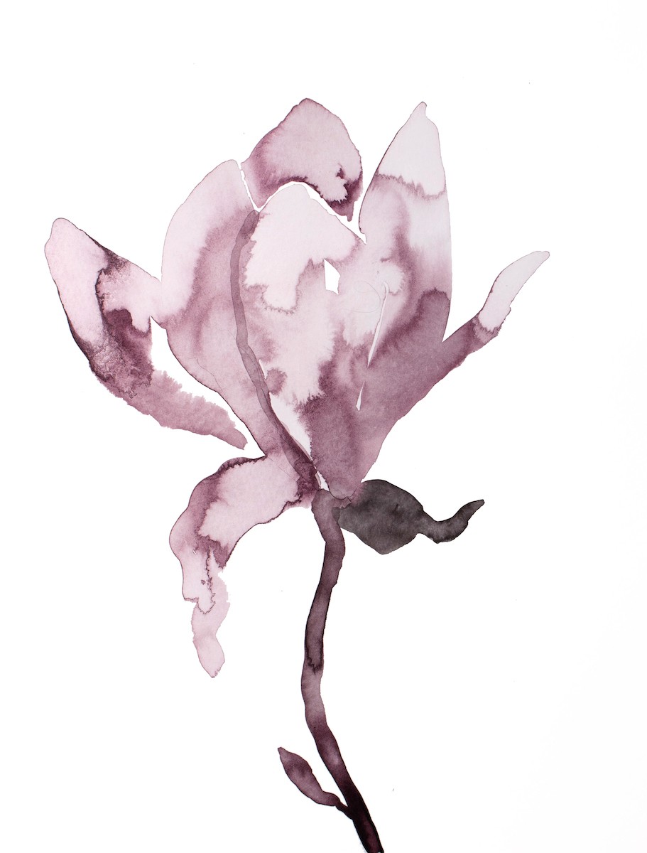 Elizabeth Becker, Magnolia No. 64 Elizabeth Becker, Magnolia No. 64