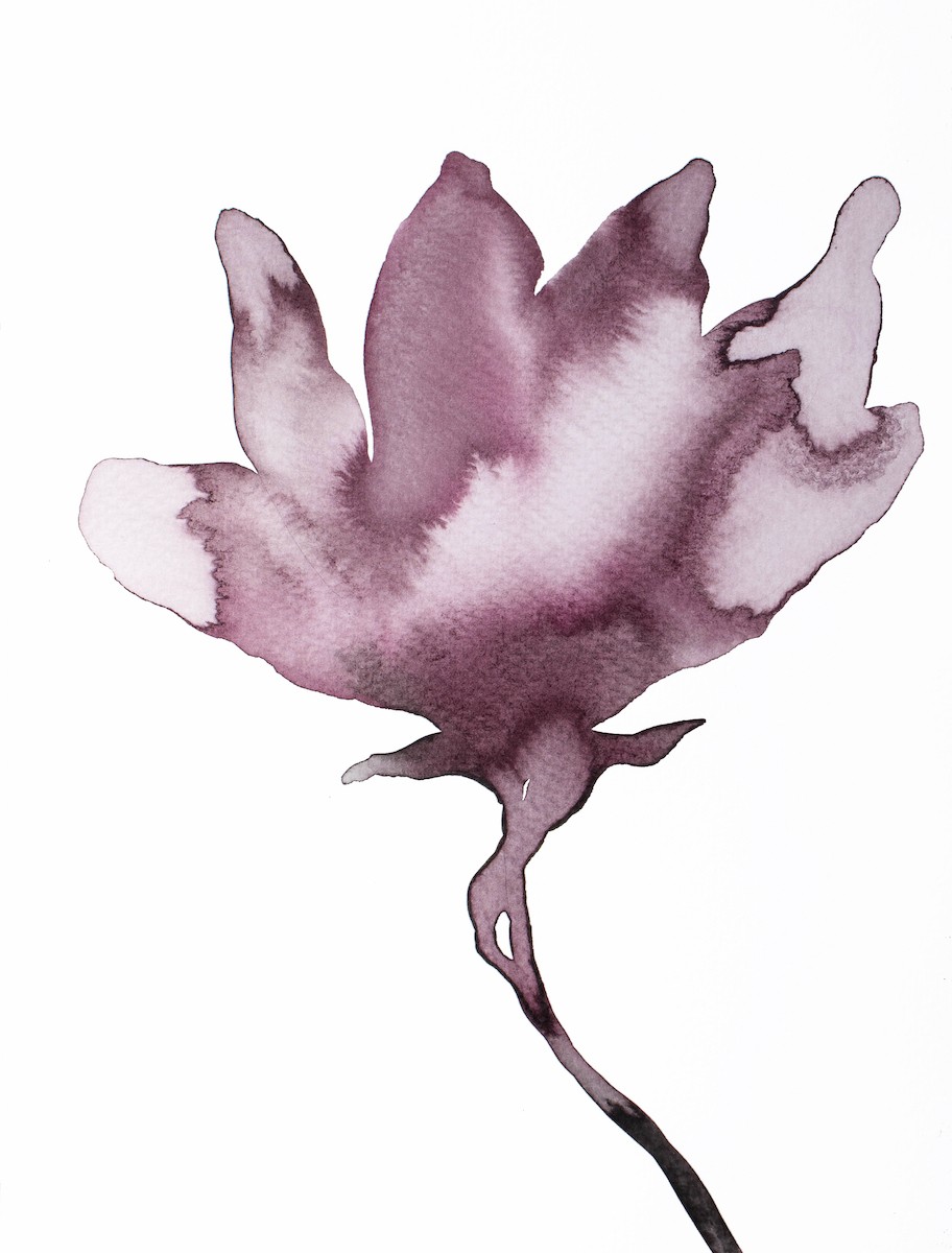 Elizabeth Becker, Magnolia No. 63 Elizabeth Becker, Magnolia No. 63