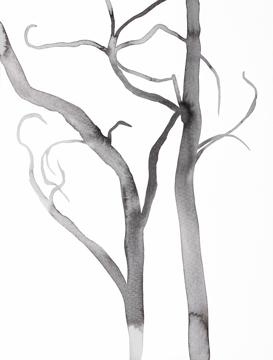 Elizabeth Becker, Barren No. 15 Elizabeth Becker, Barren No. 15