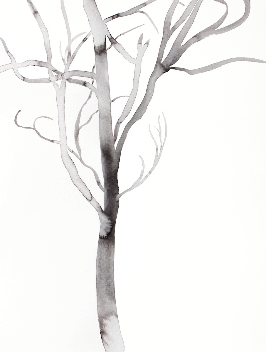 Elizabeth Becker, Barren No. 14 Elizabeth Becker, Barren No. 14