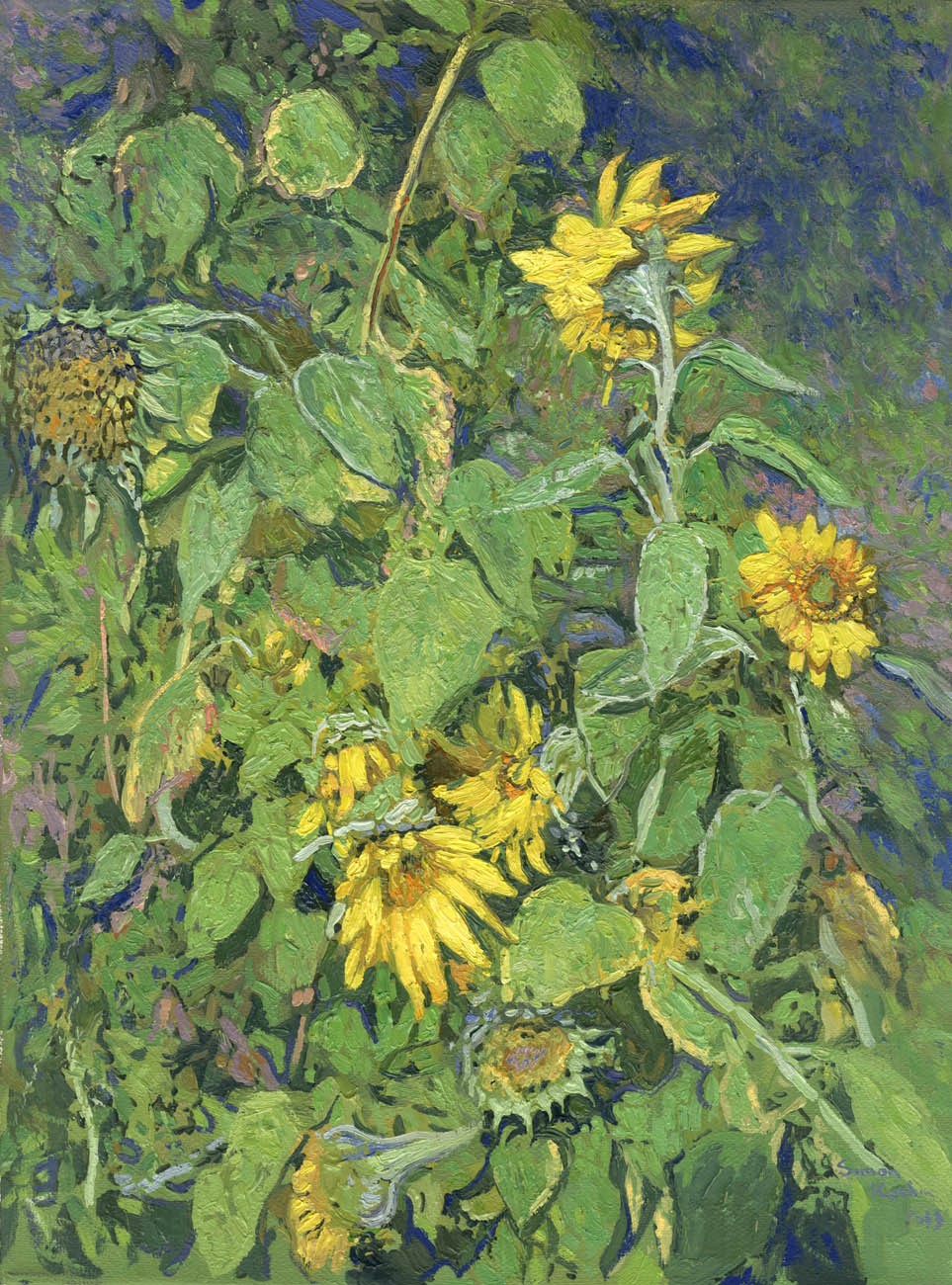Simon Kozhin, Sunflowers Simon Kozhin, Sunflowers