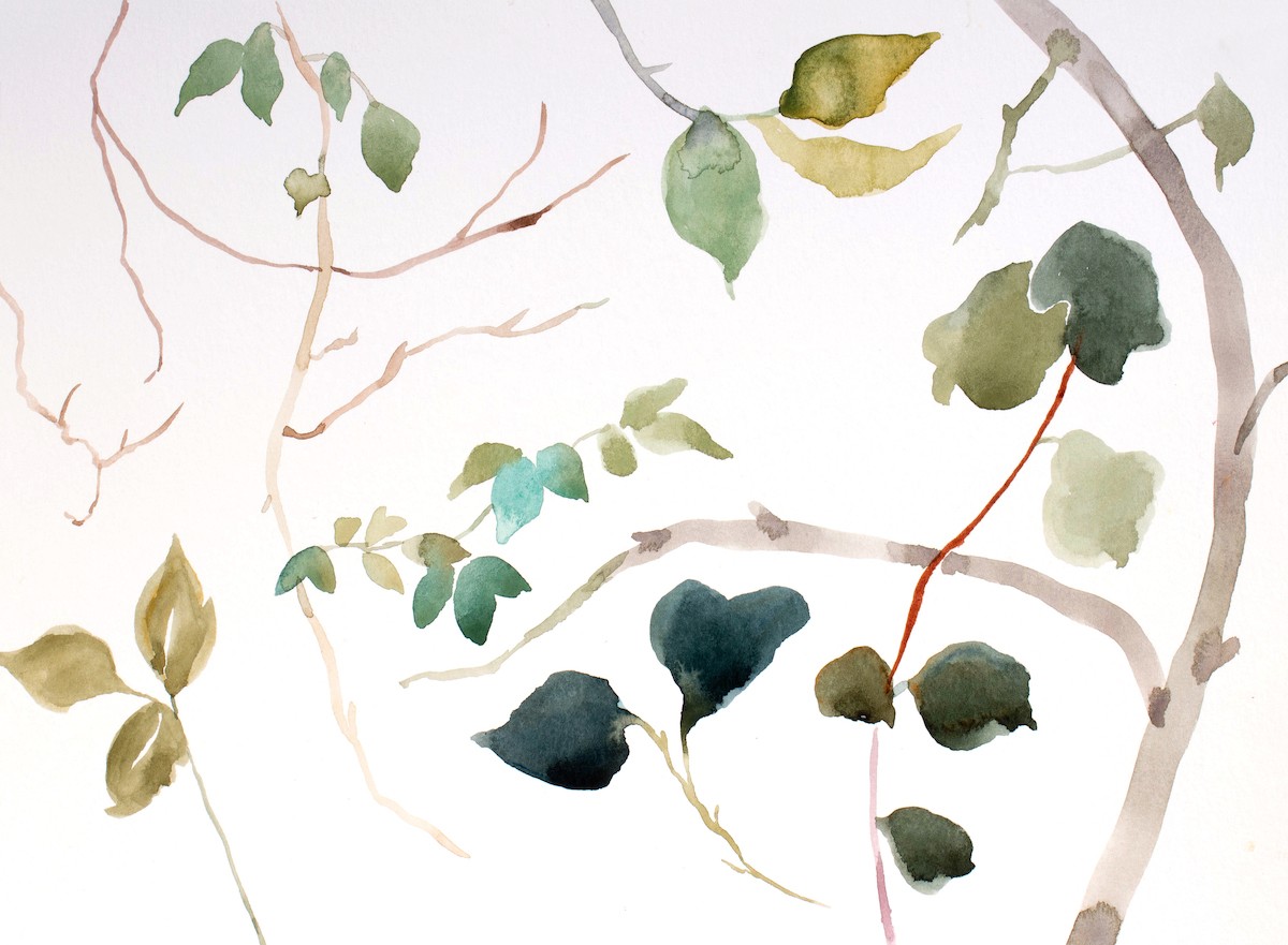 Elizabeth Becker, The woods no. 158 Elizabeth Becker, The woods no. 158