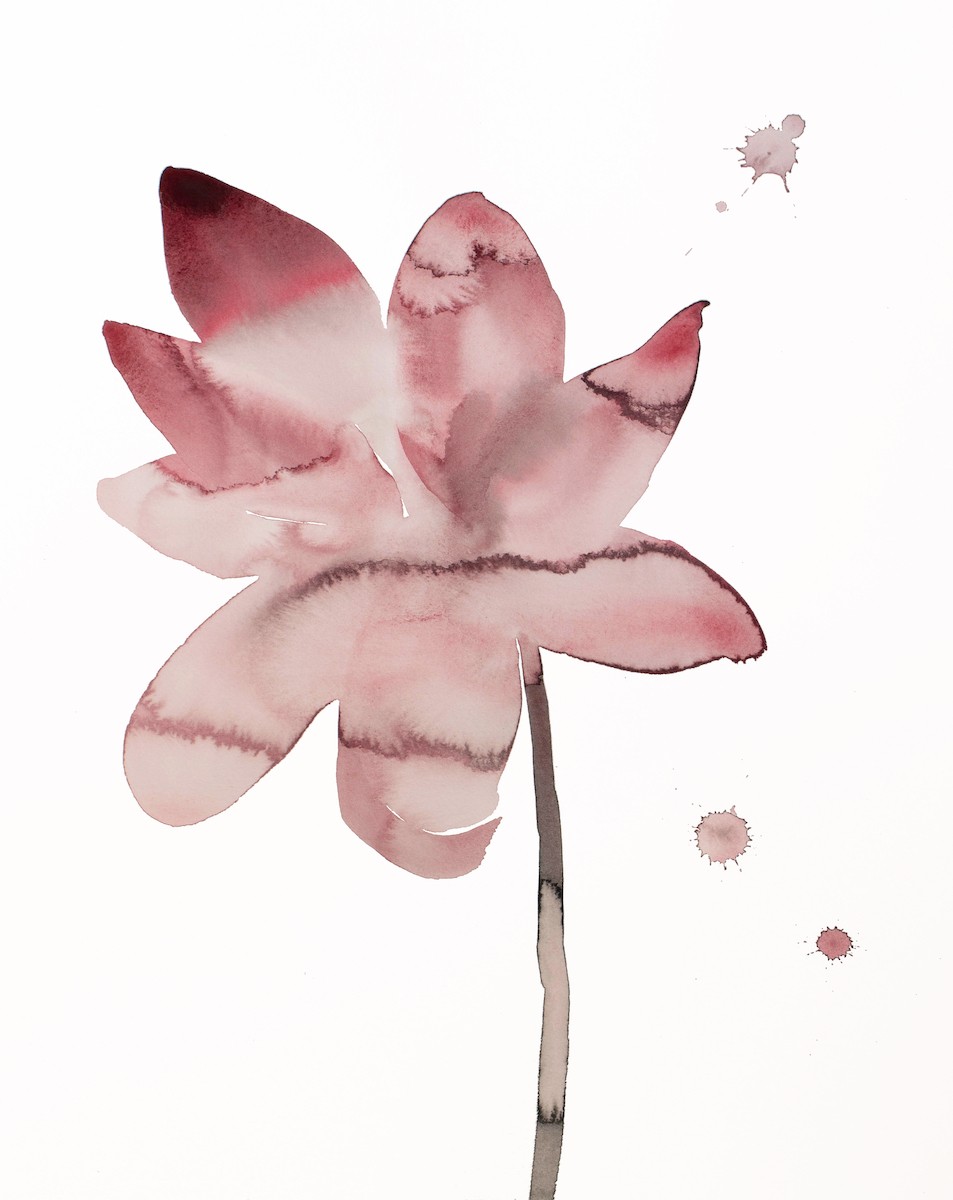 Elizabeth Becker, Lotus Elizabeth Becker, Lotus