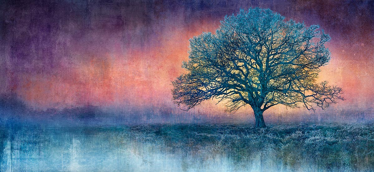 Mark Munroe-Preston, Dawn’s Calling (N50.9732 W0.3453) Mark Munroe-Preston, Dawn’s Calling (N50.9732 W0.3453)