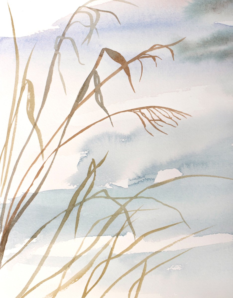 Elizabeth Becker, Grass study no. 14 Elizabeth Becker, Grass study no. 14