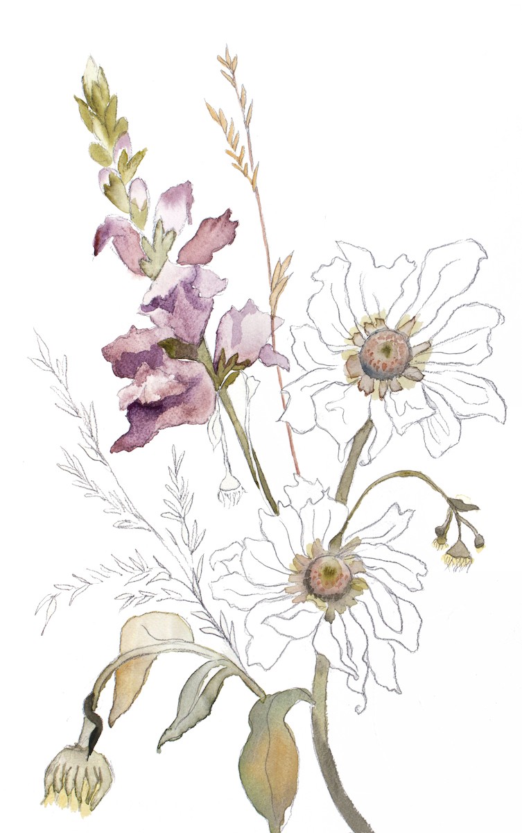 Elizabeth Becker, Floral No. 19 Elizabeth Becker, Floral No. 19
