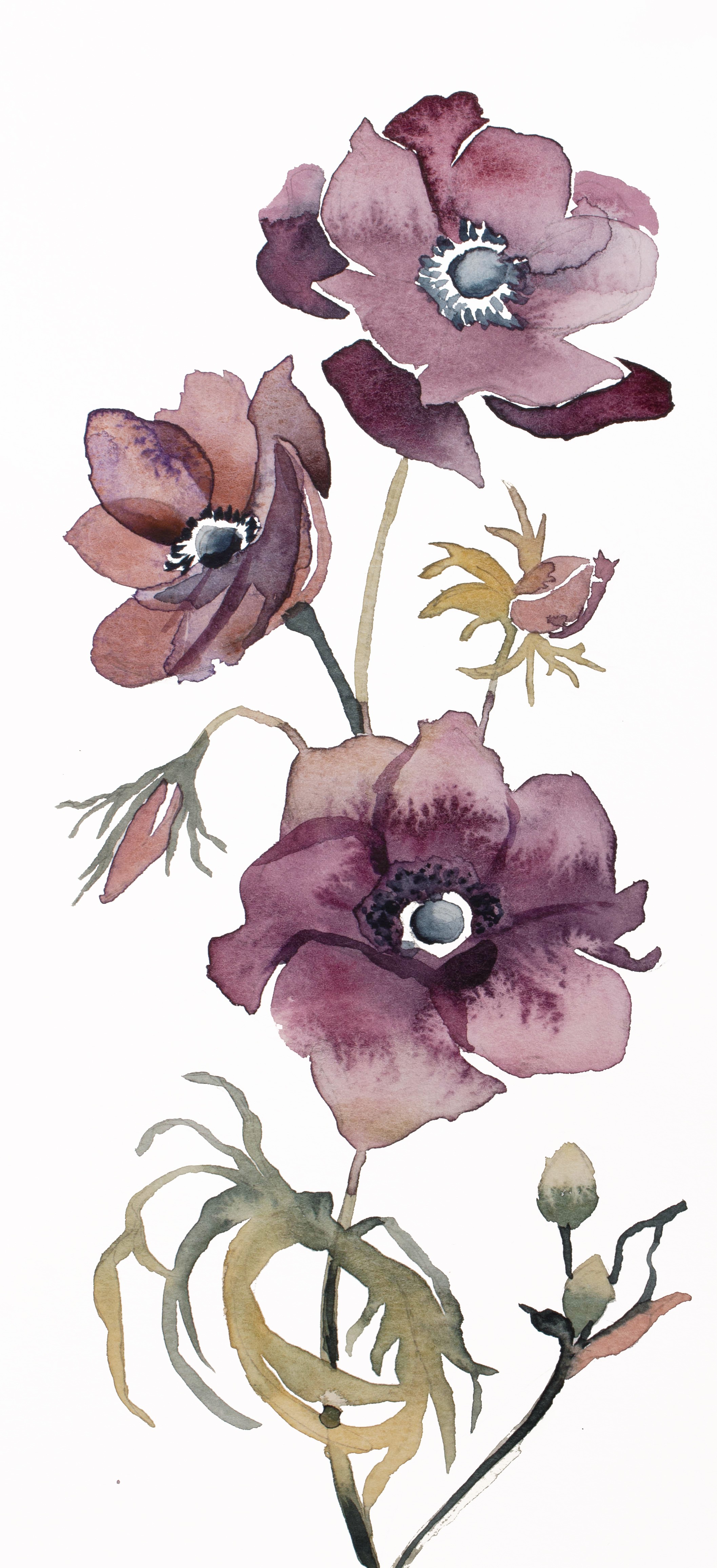 Elizabeth Becker, Hellebore No. 35 Elizabeth Becker, Hellebore No. 35