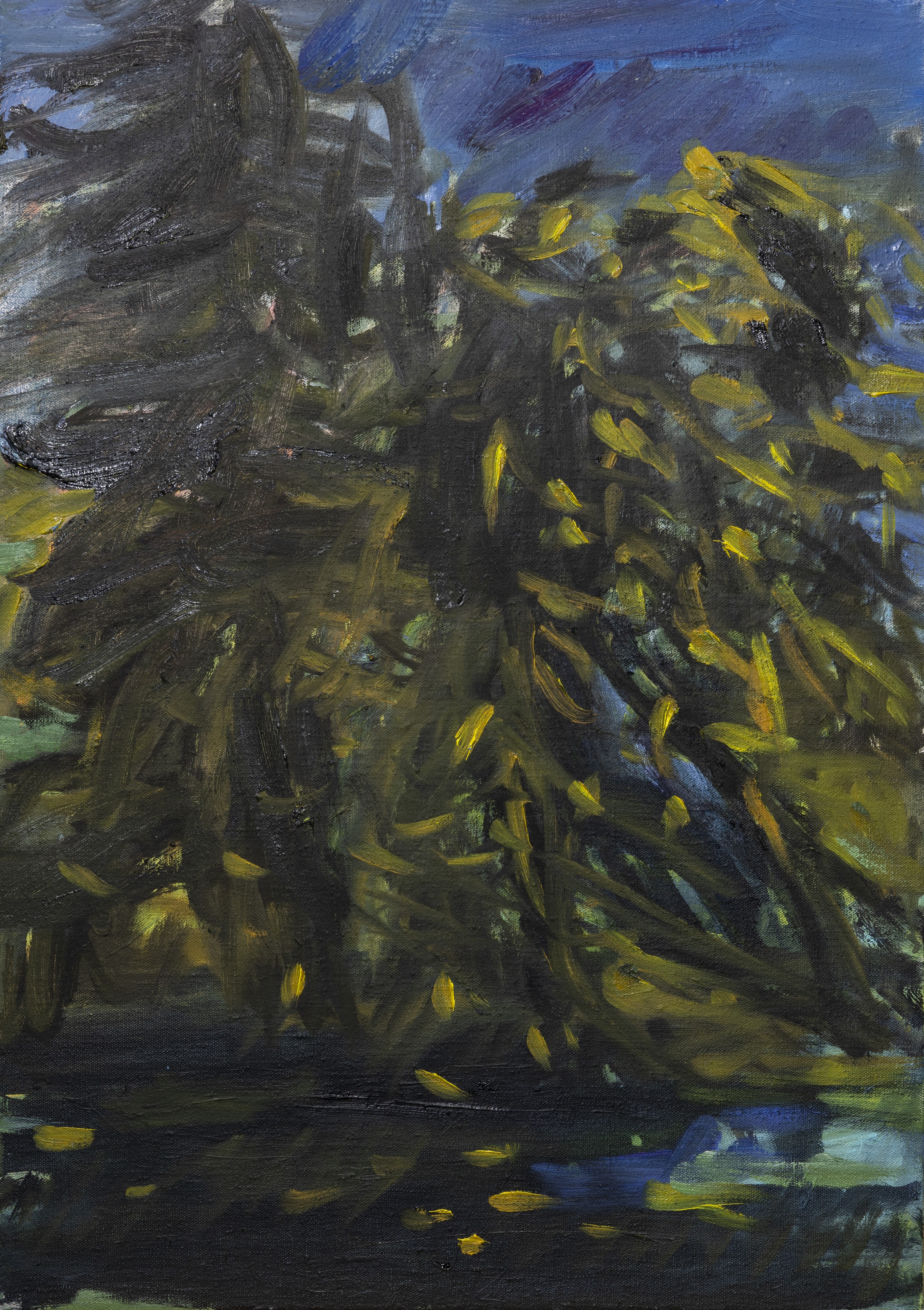 Laurence Forbin, Ombres Laurence Forbin, Ombres