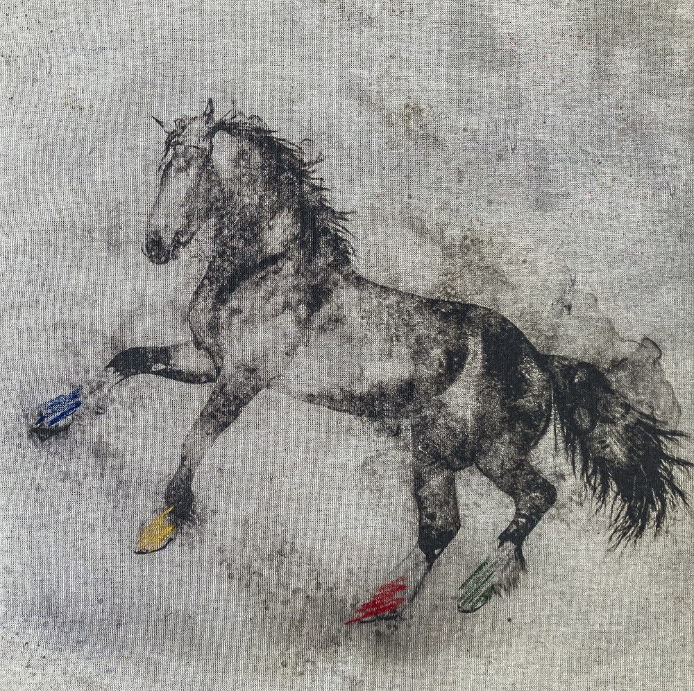Lluc Queralt, Equus colore Lluc Queralt, Equus colore