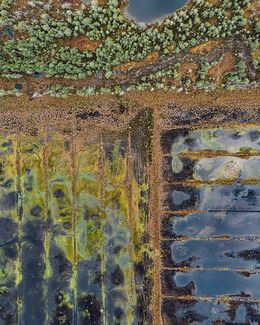 The_Bog_Renatured_005, Bernhard Lang