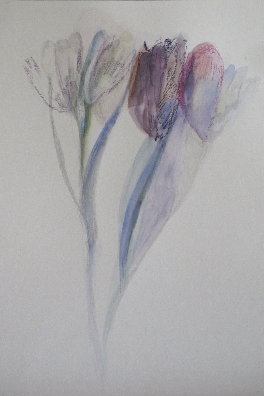 Juliette Wegrzyk, Fleurs en mémoire Juliette Wegrzyk, Fleurs en mémoire