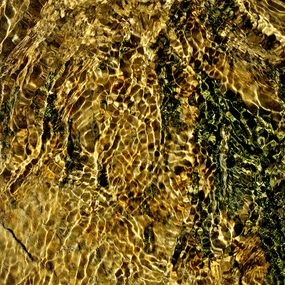 Photographie, The Gardens of Jade 2, Fabrice Constant