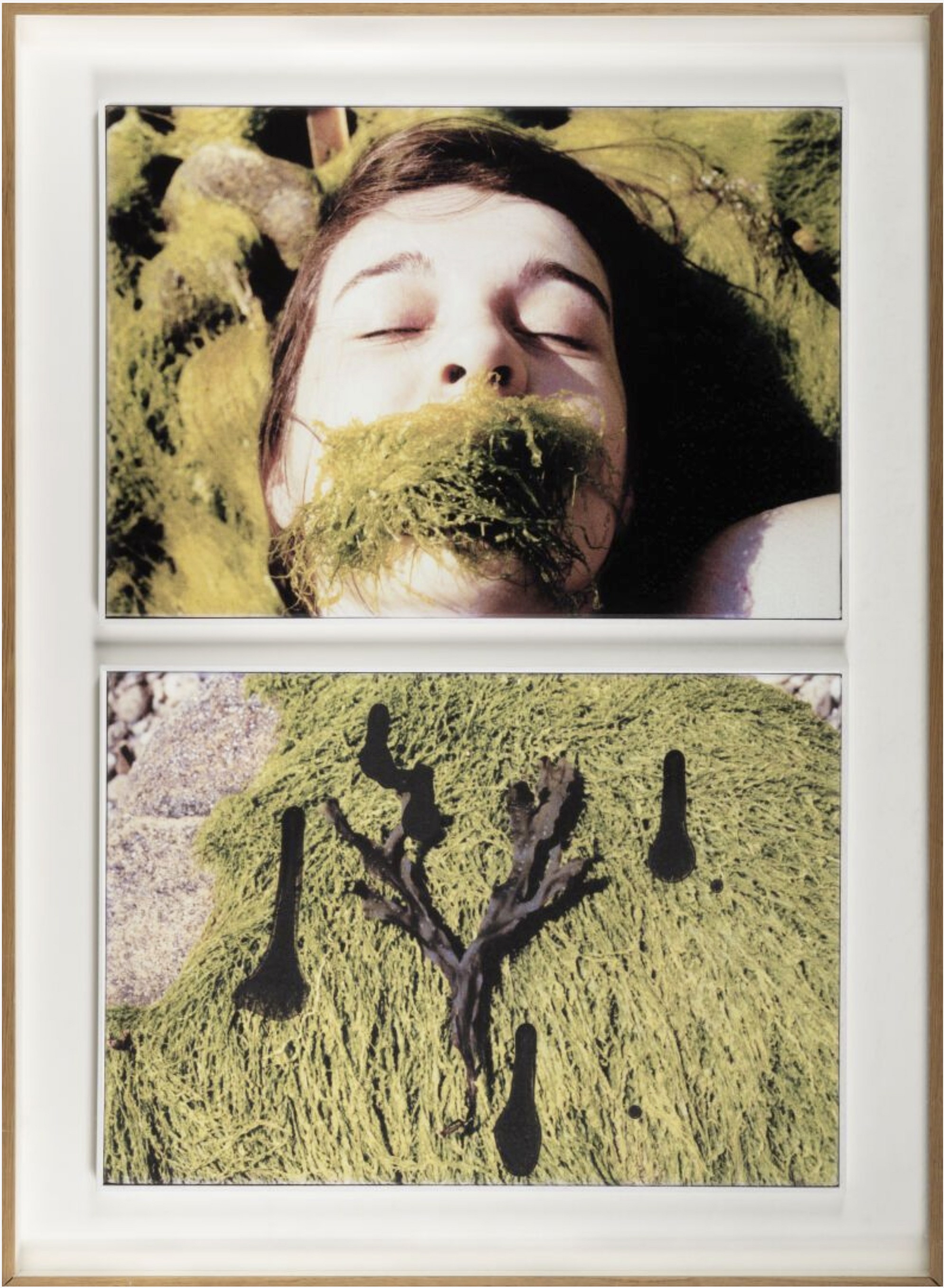 Joël Leick, Rémanence la nature des choses Joël Leick, Rémanence la nature des choses