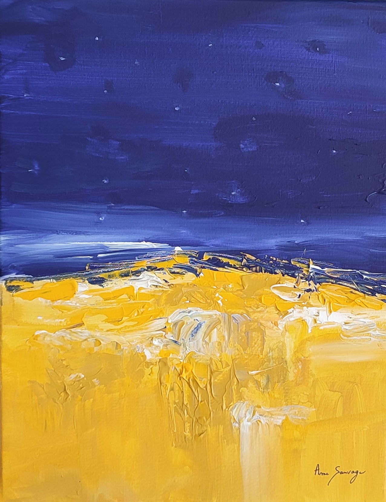 Âme Sauvage, Terres d'or : la nuit Âme Sauvage, Terres d'or : la nuit
