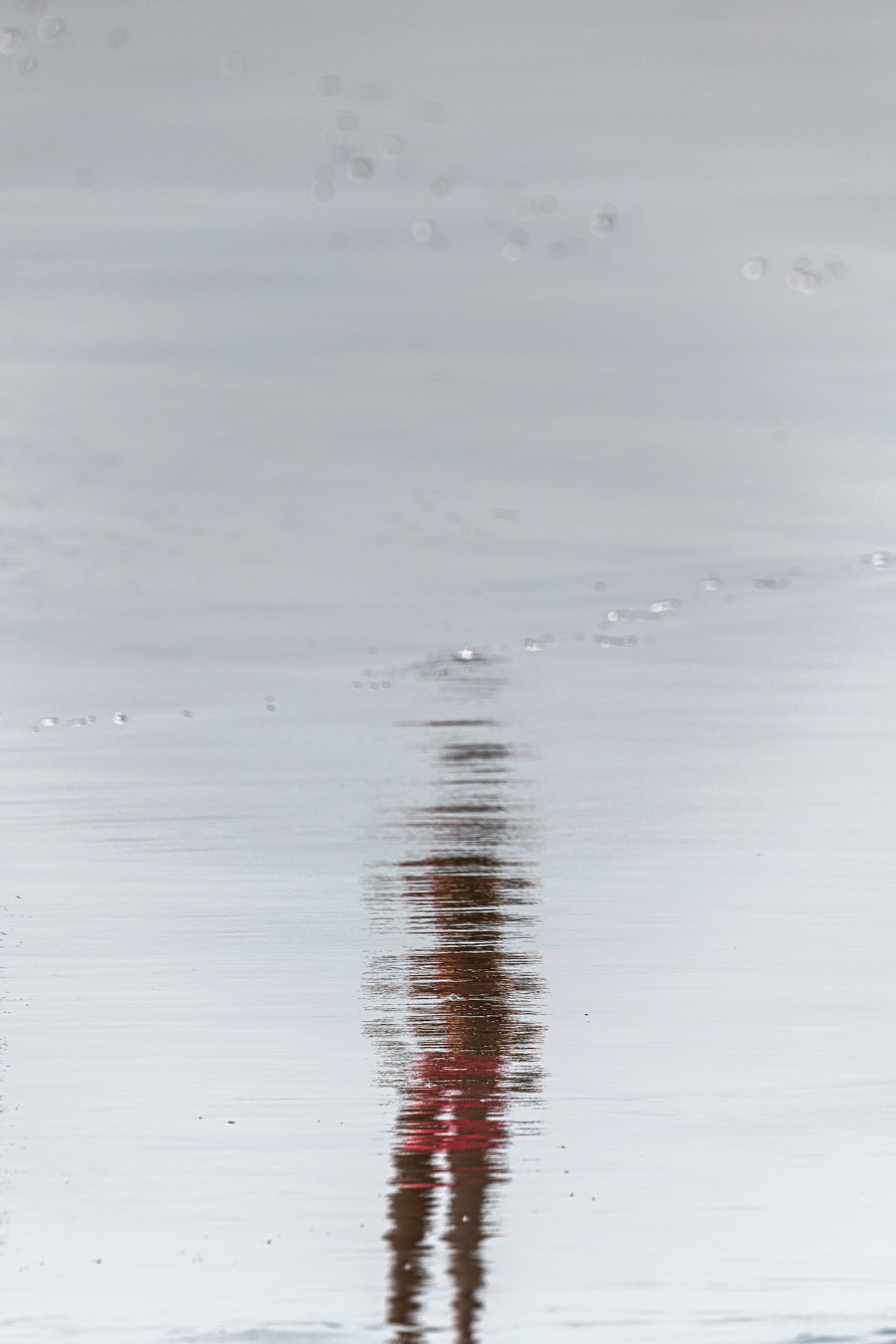 Javier Rey, I am fleeting #1. From I am fleeting Series Javier Rey, I am fleeting #1. From I am fleeting Series