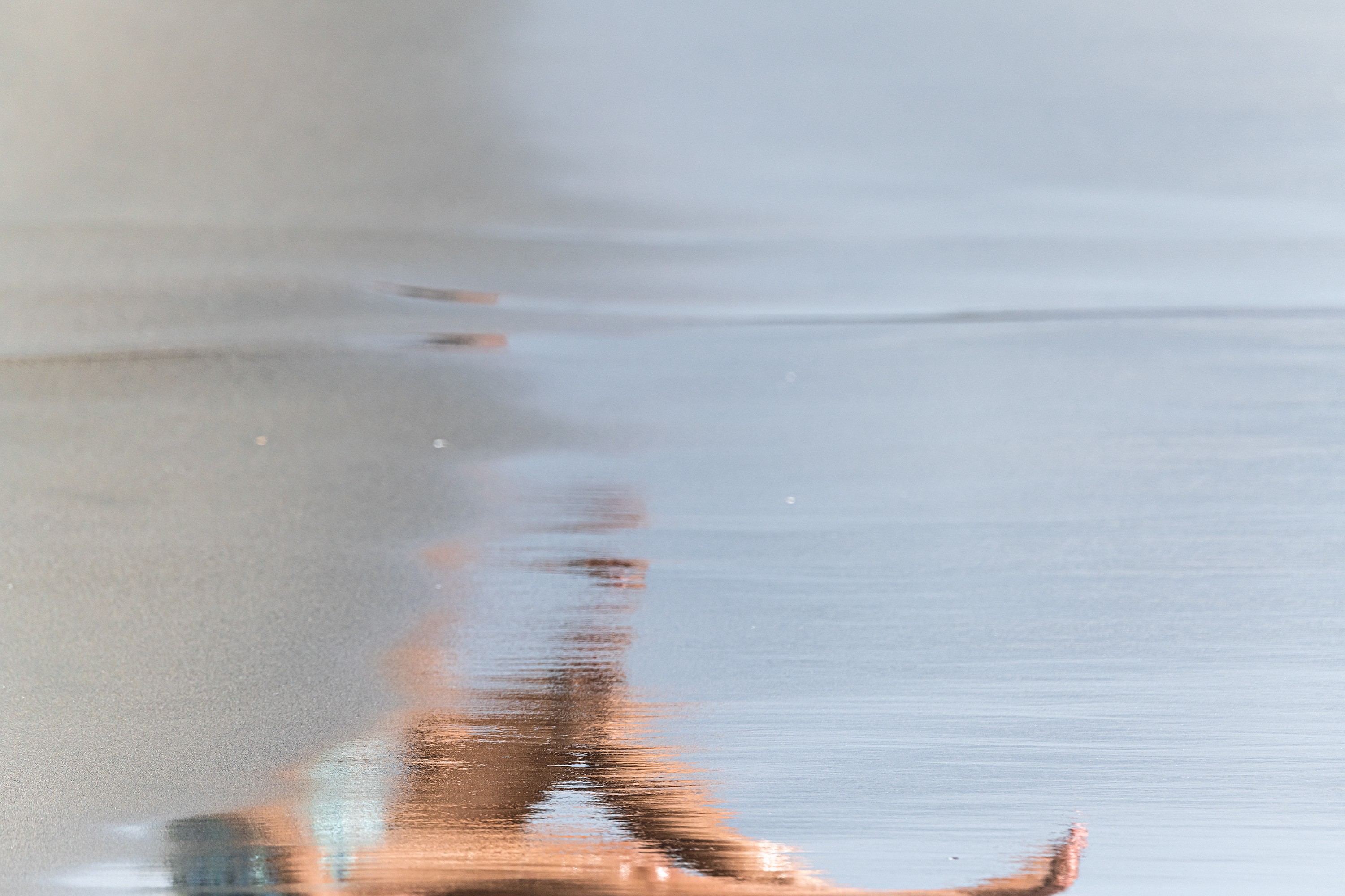 Javier Rey, I am fleeting #12. From I am fleeting Series Javier Rey, I am fleeting #12. From I am fleeting Series