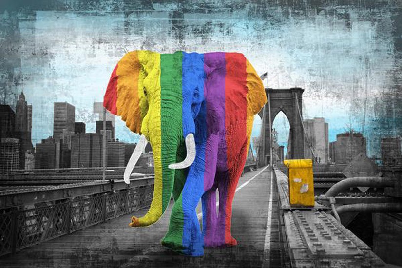 Lars Tunebo, Tripping on Brooklyn Bridge-Rainbow Lars Tunebo, Tripping on Brooklyn Bridge-Rainbow