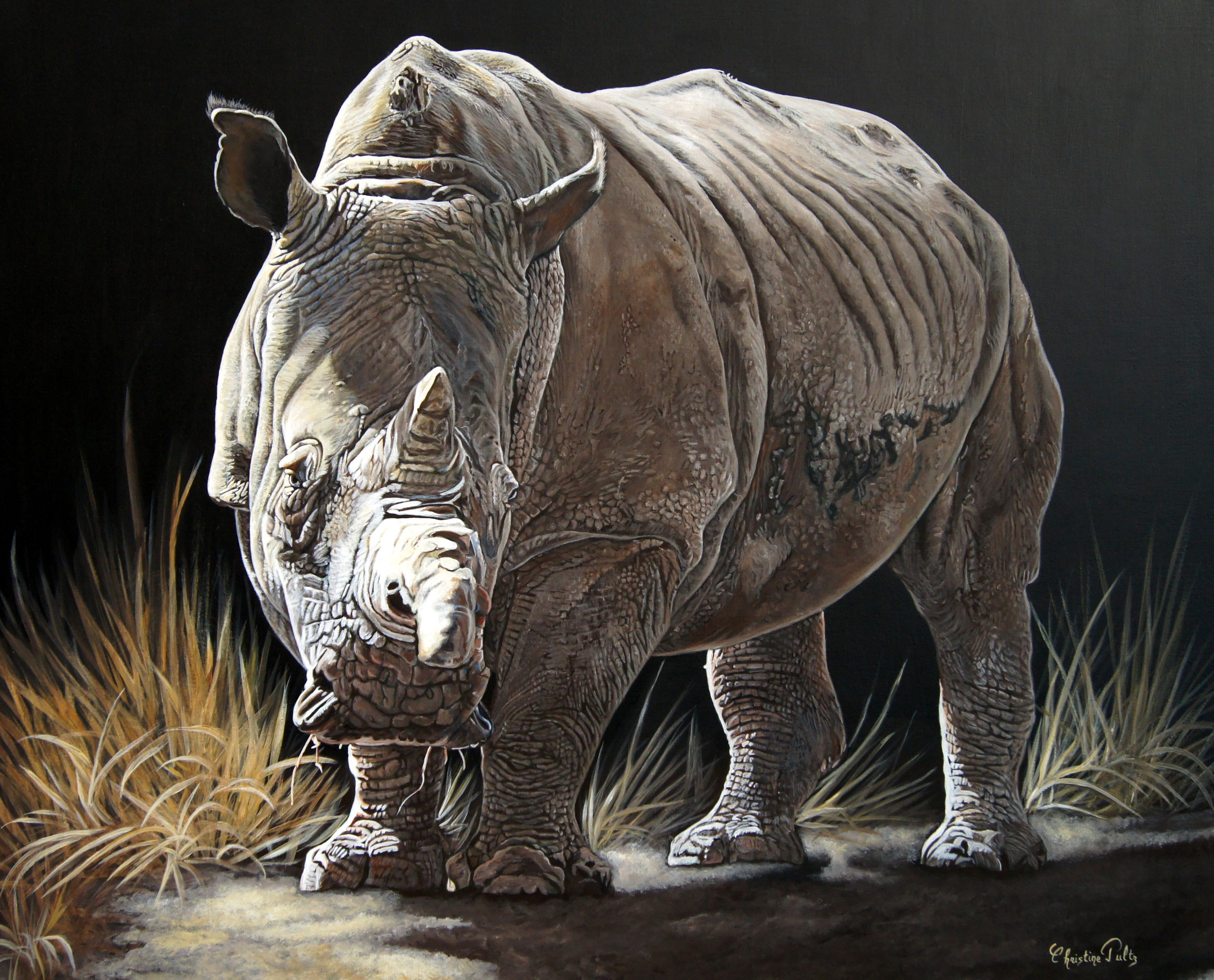 Christine Pultz, Rhinoceros Christine Pultz, Rhinoceros
