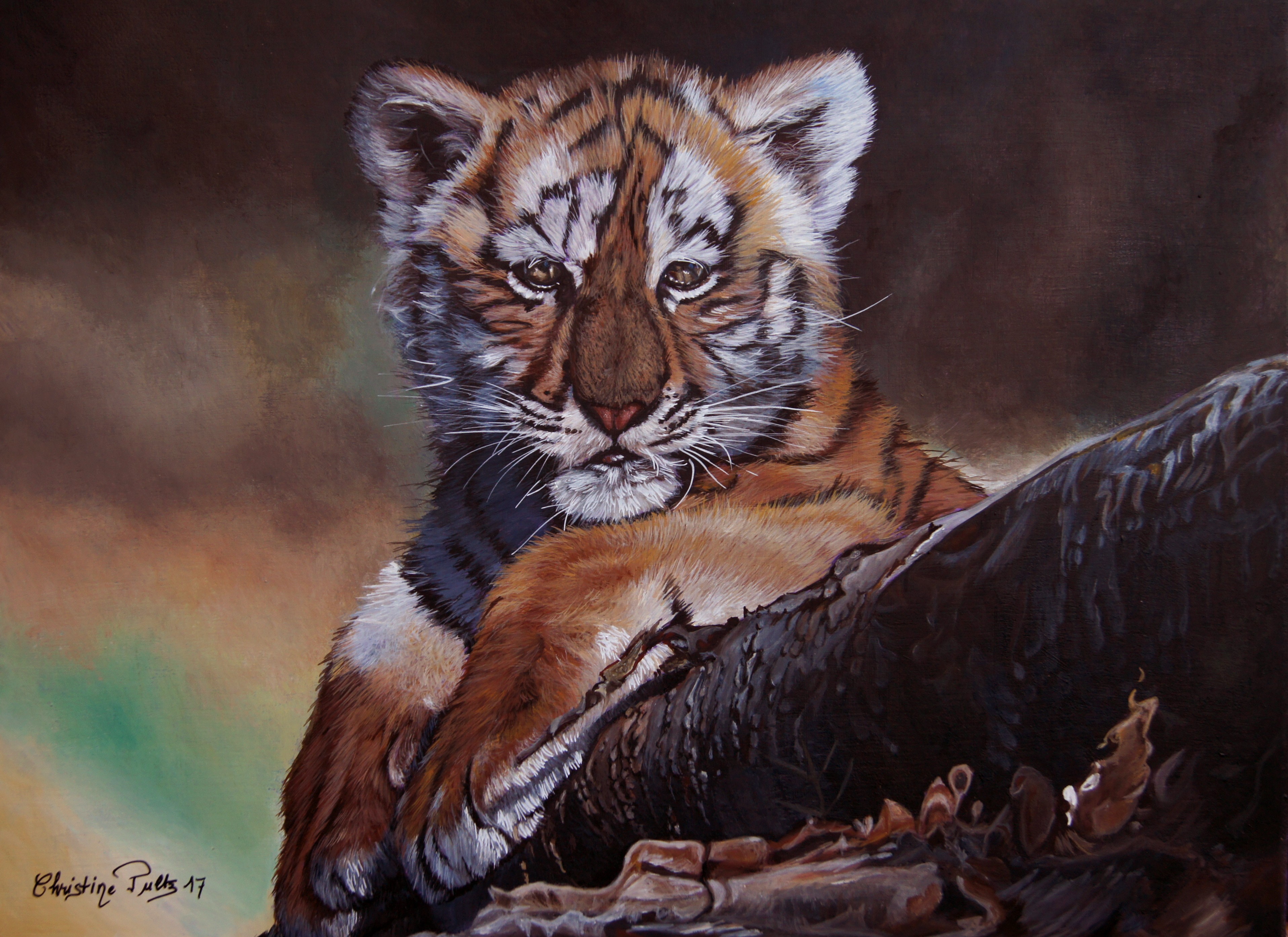 Christine Pultz, Bébé Tigre Christine Pultz, Bébé Tigre