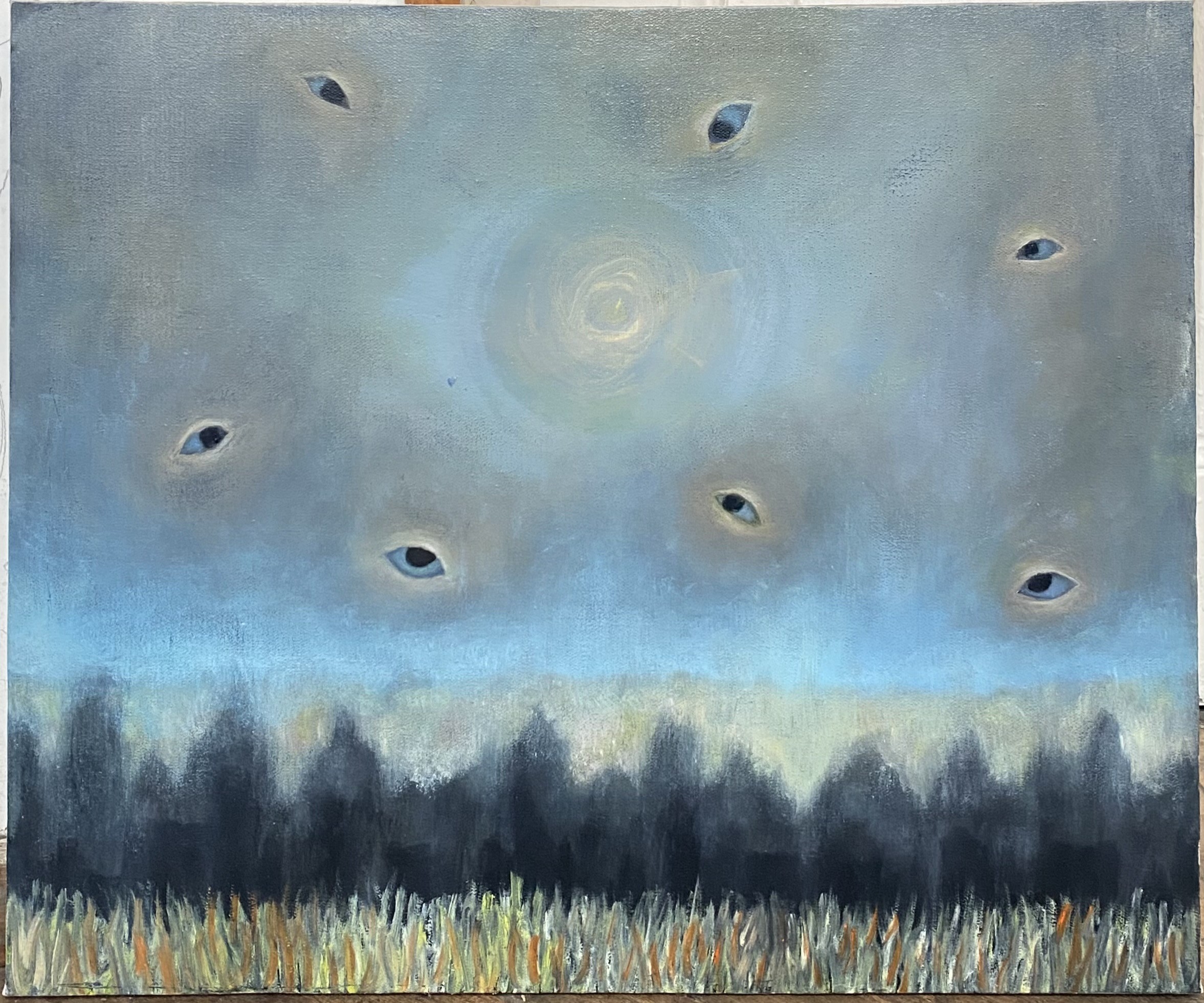 Tamar Sulakvelidze, Eyes Tamar Sulakvelidze, Eyes