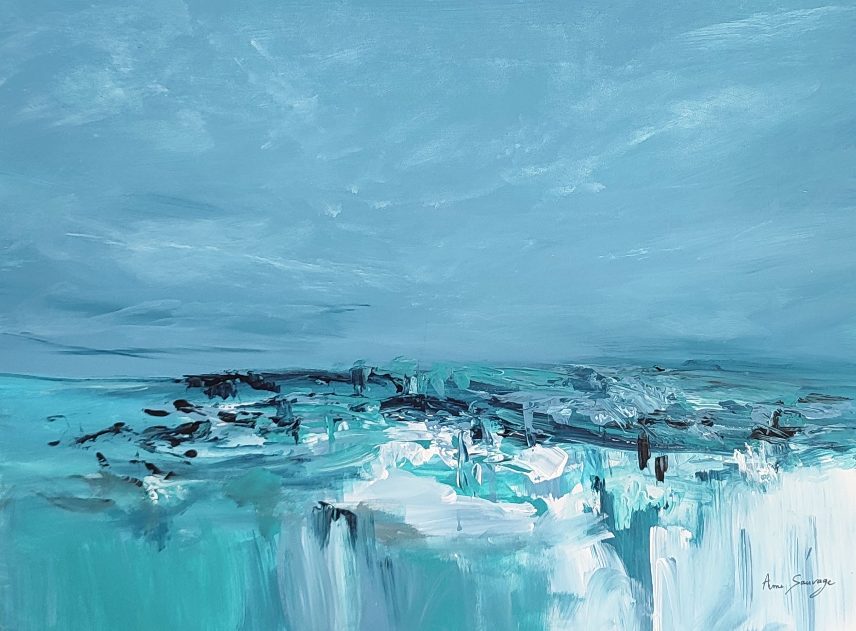 Âme Sauvage, Seul sur la mer Âme Sauvage, Seul sur la mer