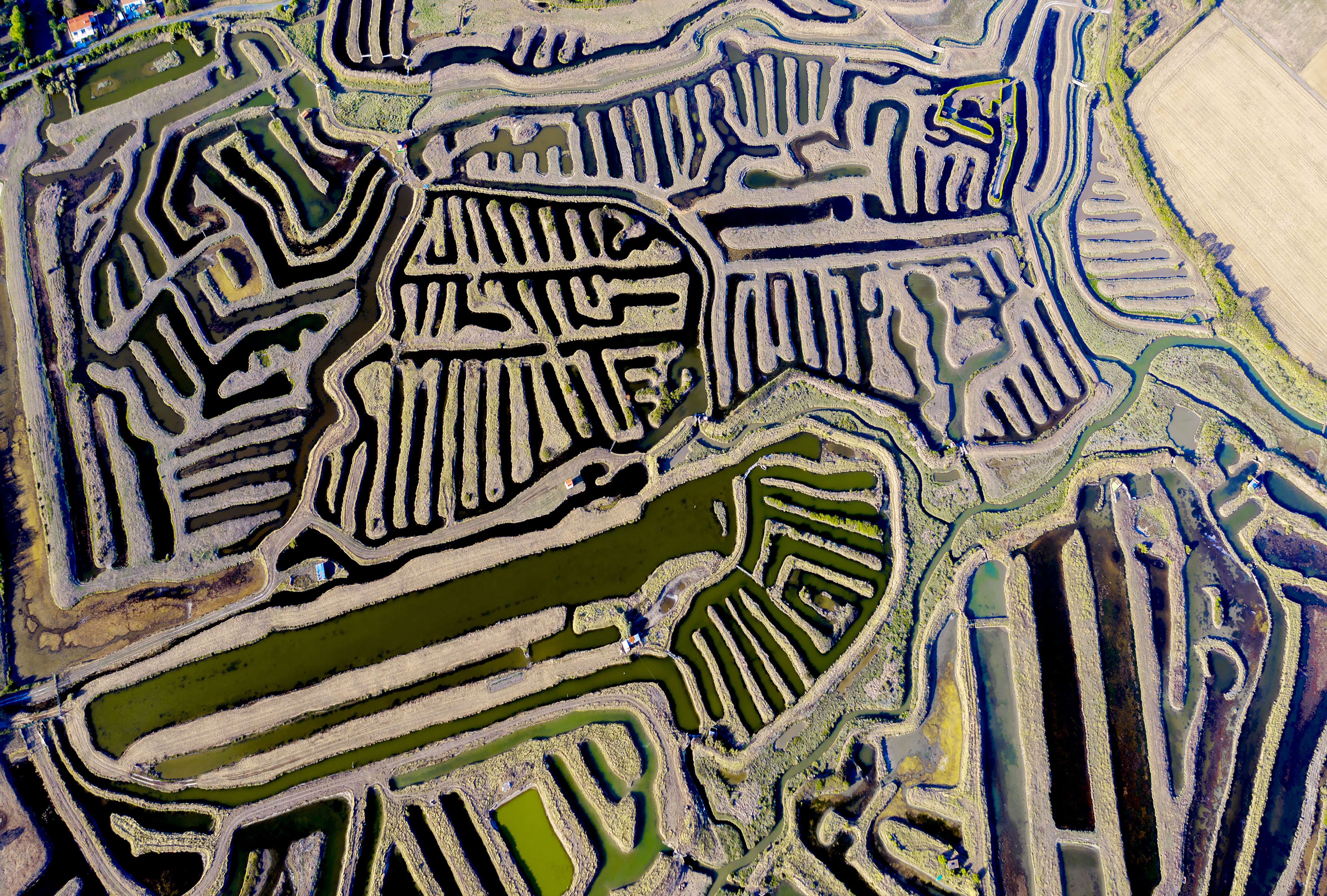 Jean-Claude Mathier, Marais salants 3 Jean-Claude Mathier, Marais salants 3