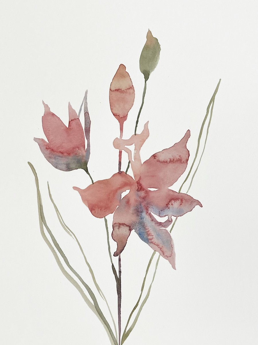 Elizabeth Becker, Grass Pink No. 2 Elizabeth Becker, Grass Pink No. 2